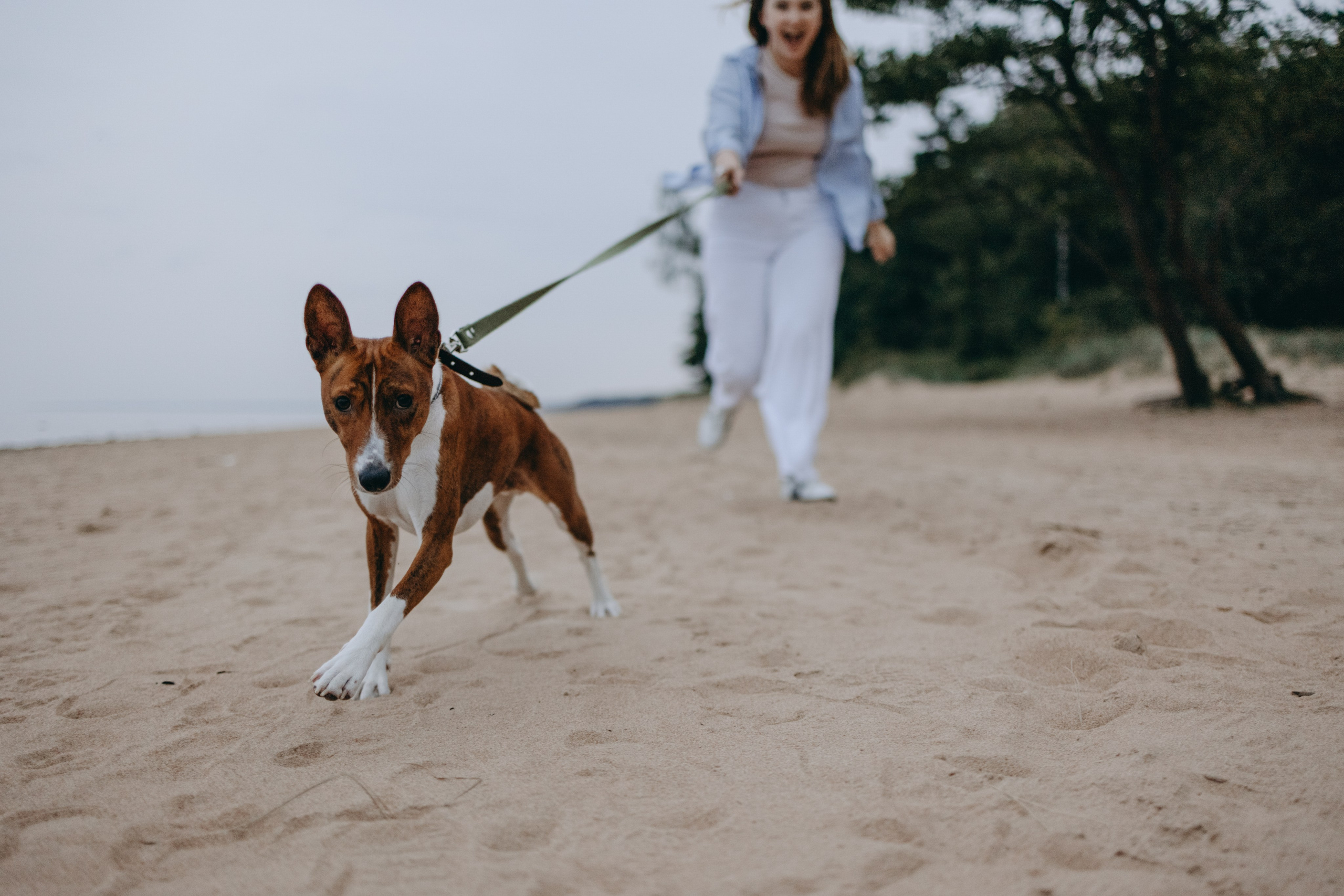 Даша и Арчи. Фотограф — Анималист | Санкт-Петербург