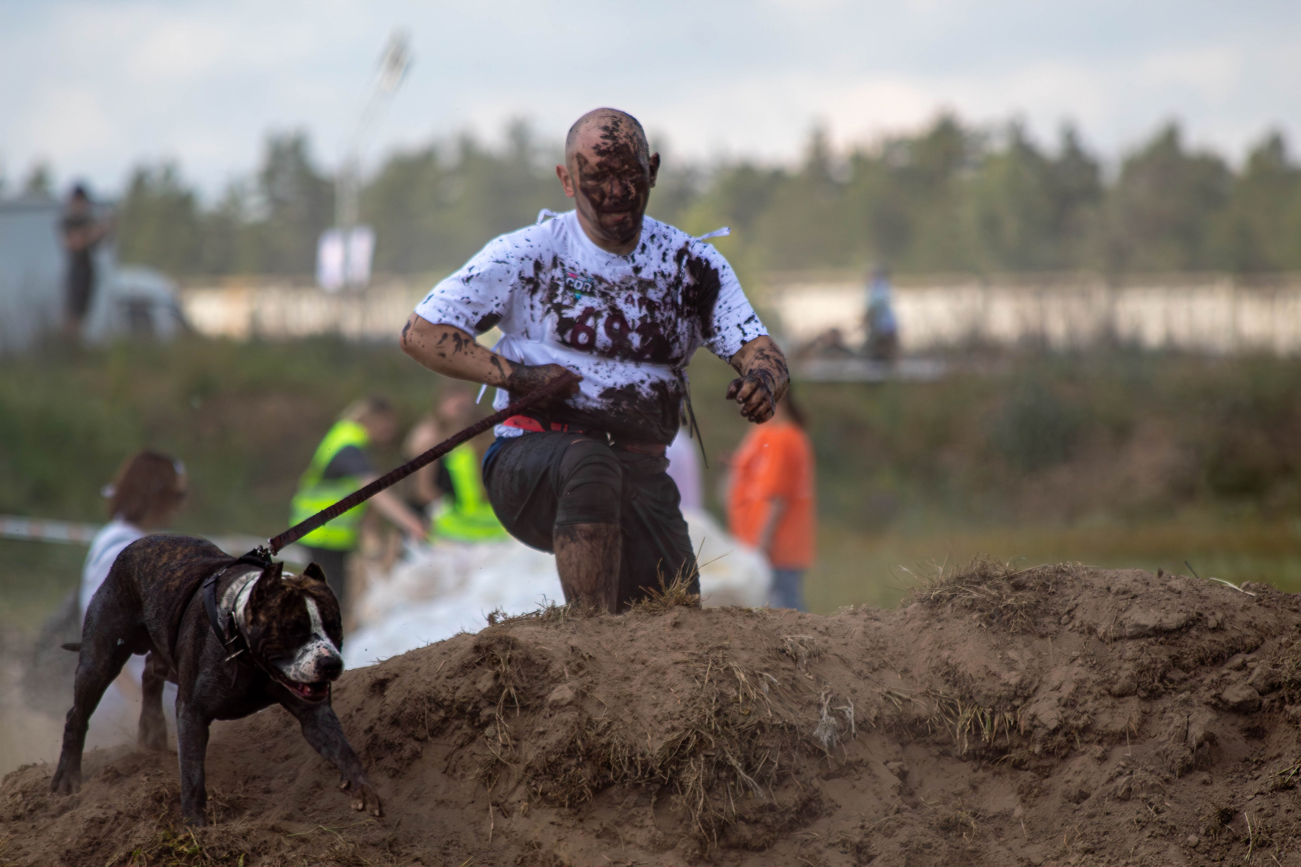 Хвостатый Драйв 2024. Фотограф анималист — Тула, Москва