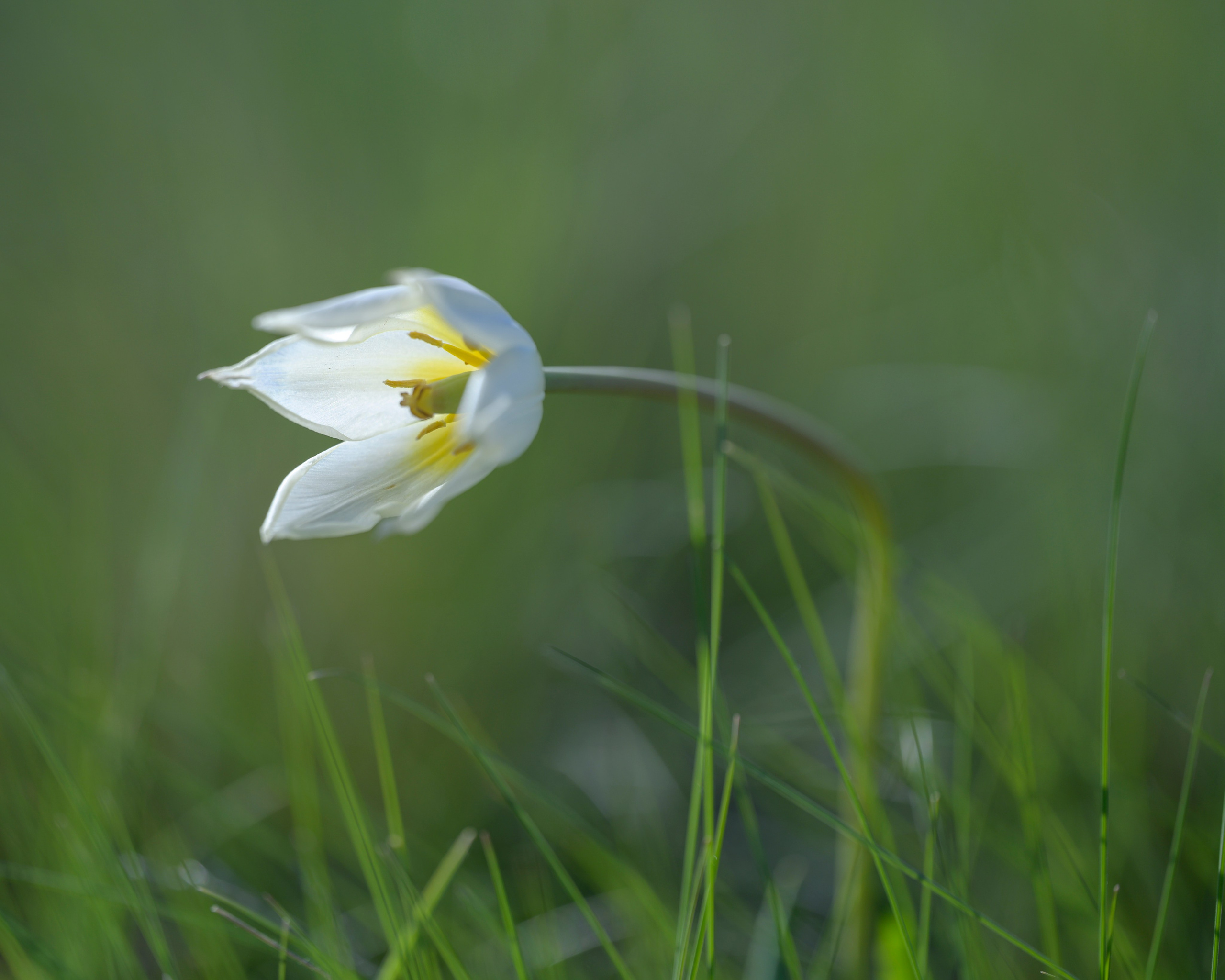 Оренбуржье. Портретный фотограф в Челябинске Катерина Руди