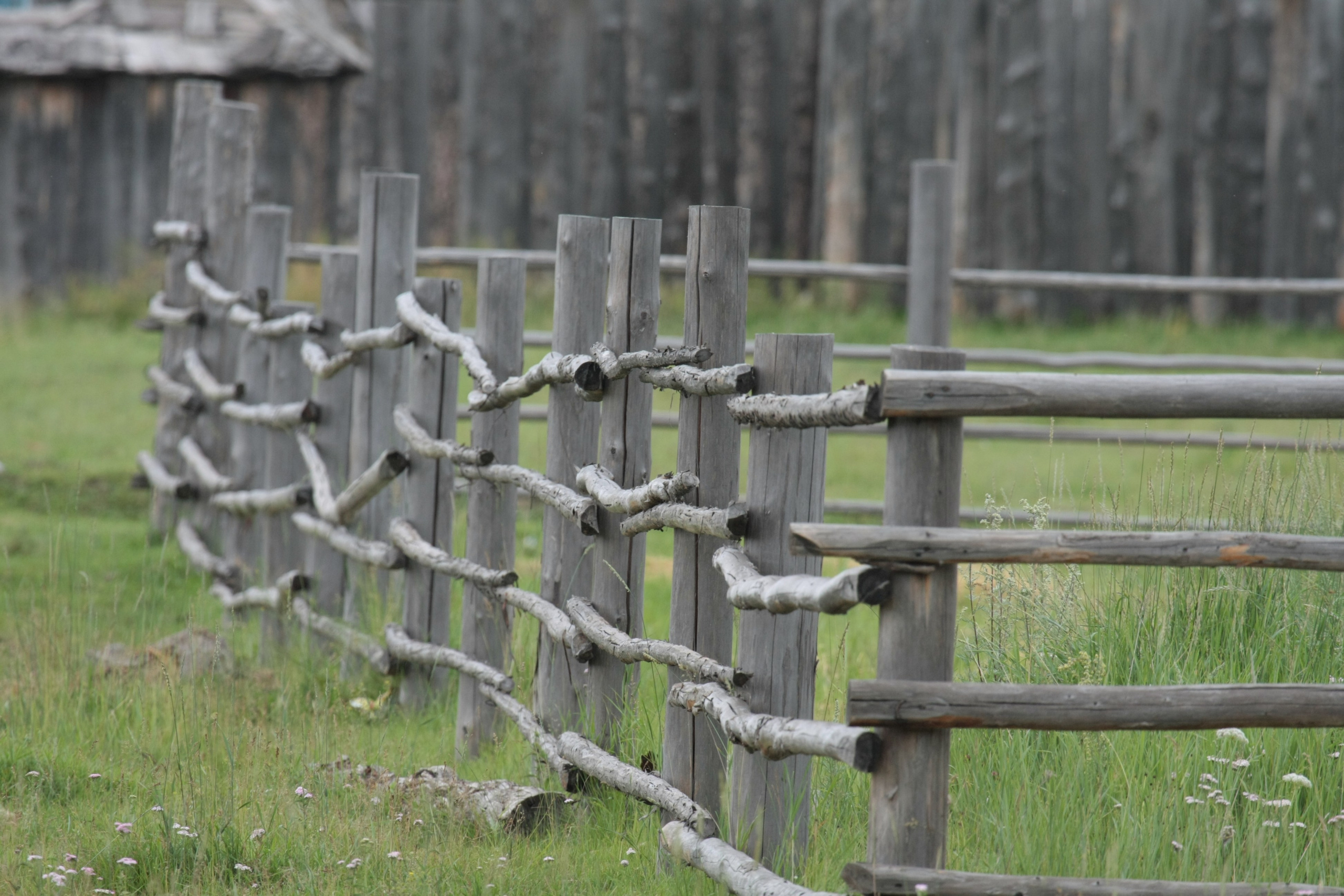 Фото Природы Забайкалья. Студия Максима Белослюдцева