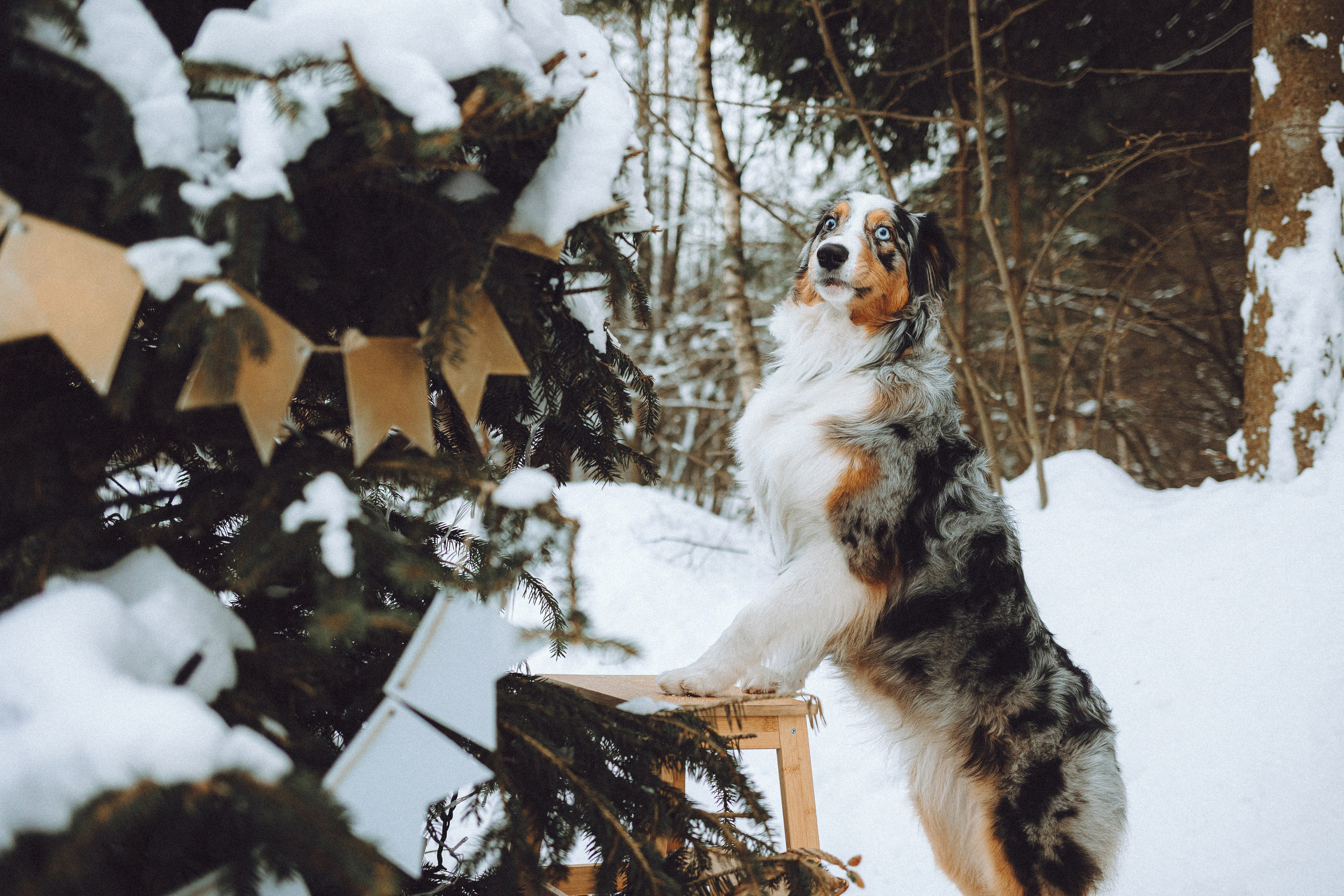 Фаня и ее семья