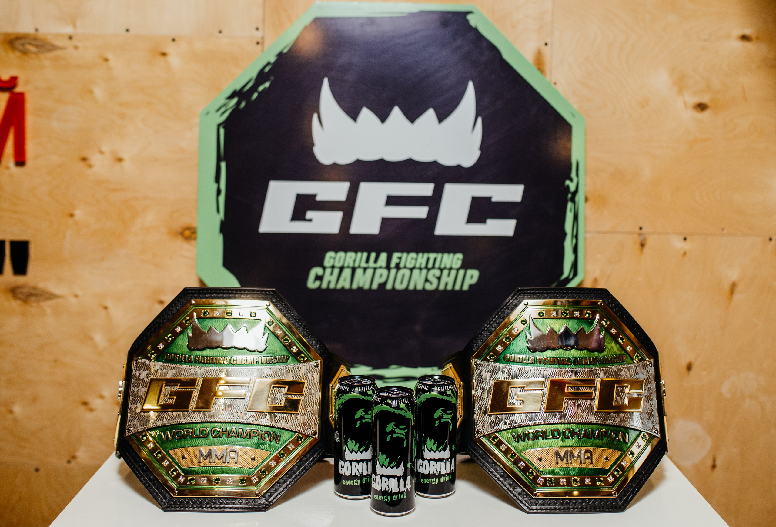 Gorilla Fighting Penza. Репортажный, event, концертный и backstage фотограф из Москвы Виталий Кривцов