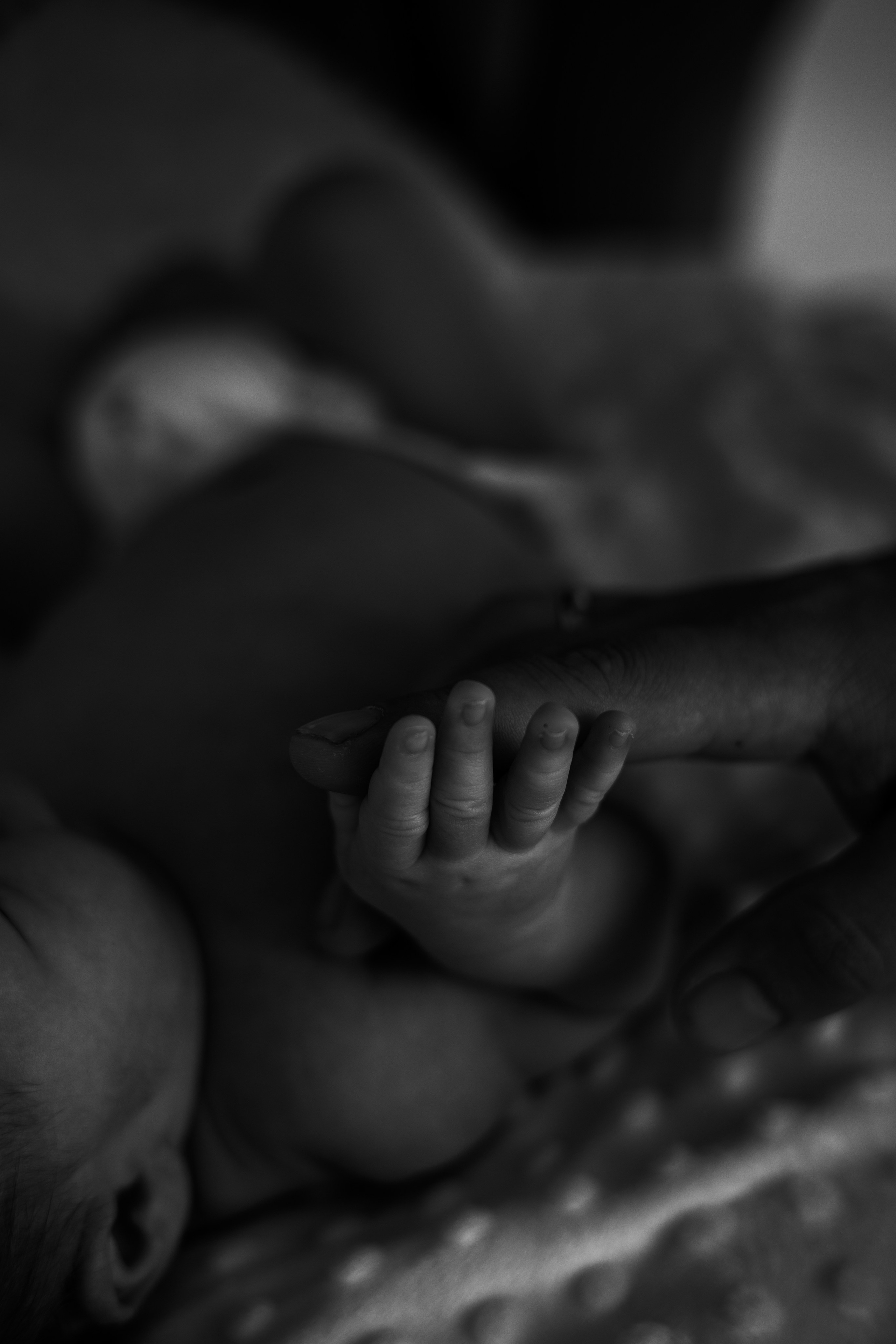 Семейные истории. Ваш фотограф во Владимире и Москве Валерия Увакина