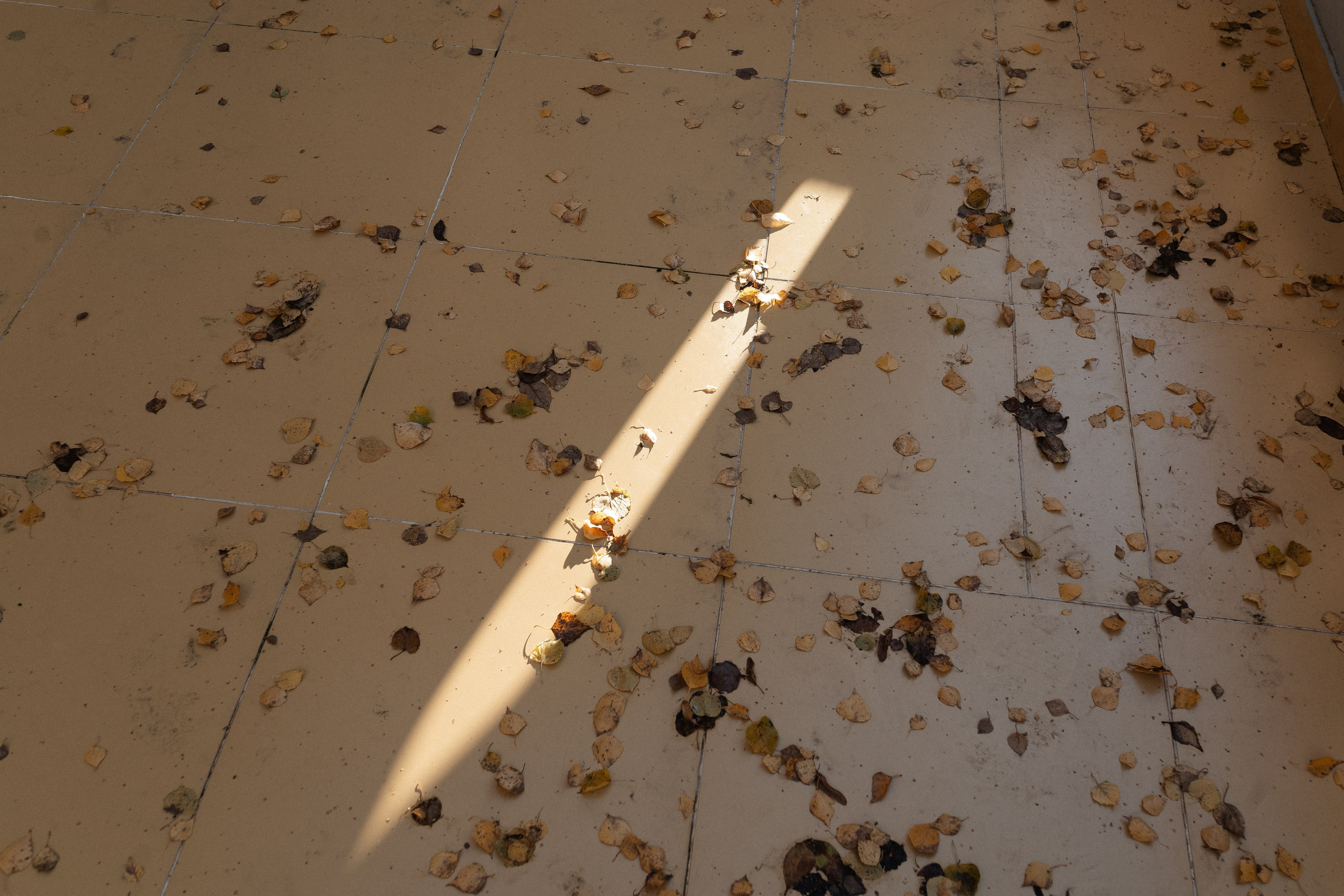 Илона и осень. Свадебный фотограф в Орле Андрей Поляков