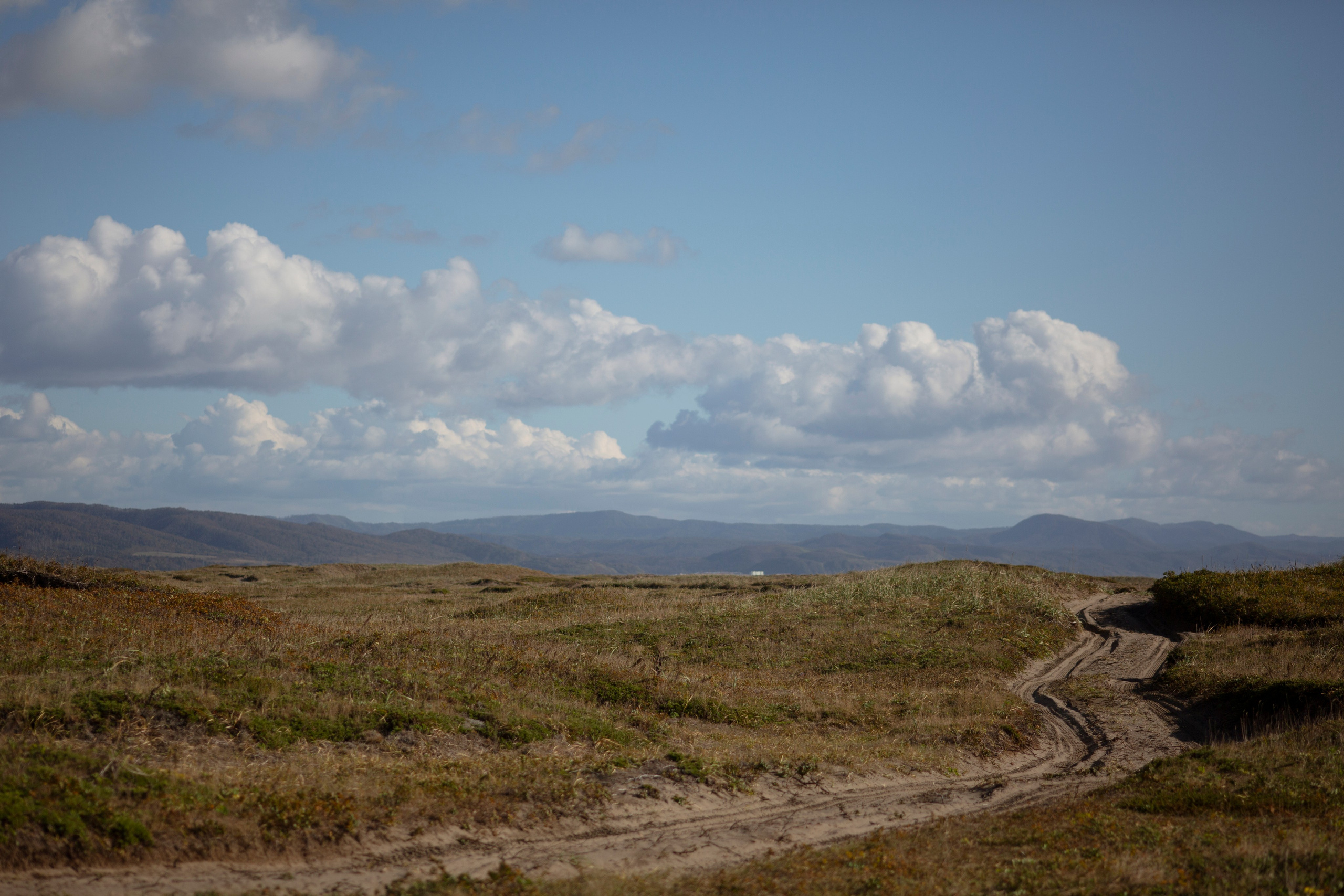 Первый день на Сахалине. Фотограф Даша Омельченко