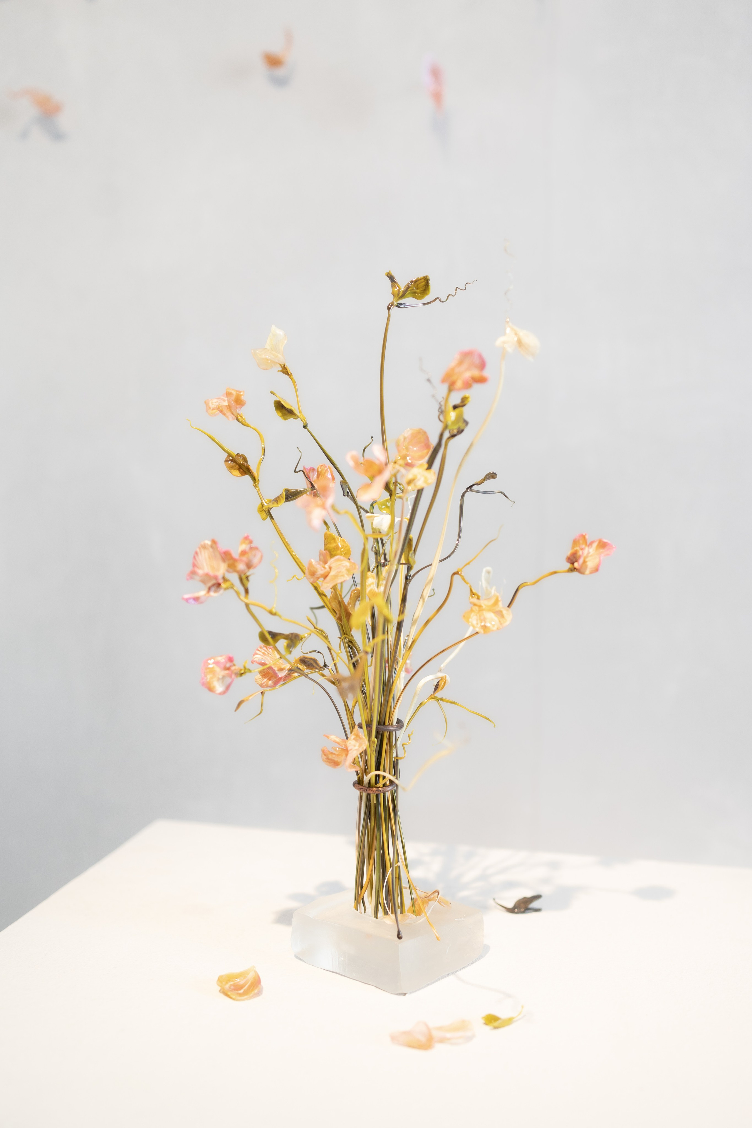 Предметная съёмка. Фотосессии и репортаж — Фотограф в Москве — Рина Серёгина