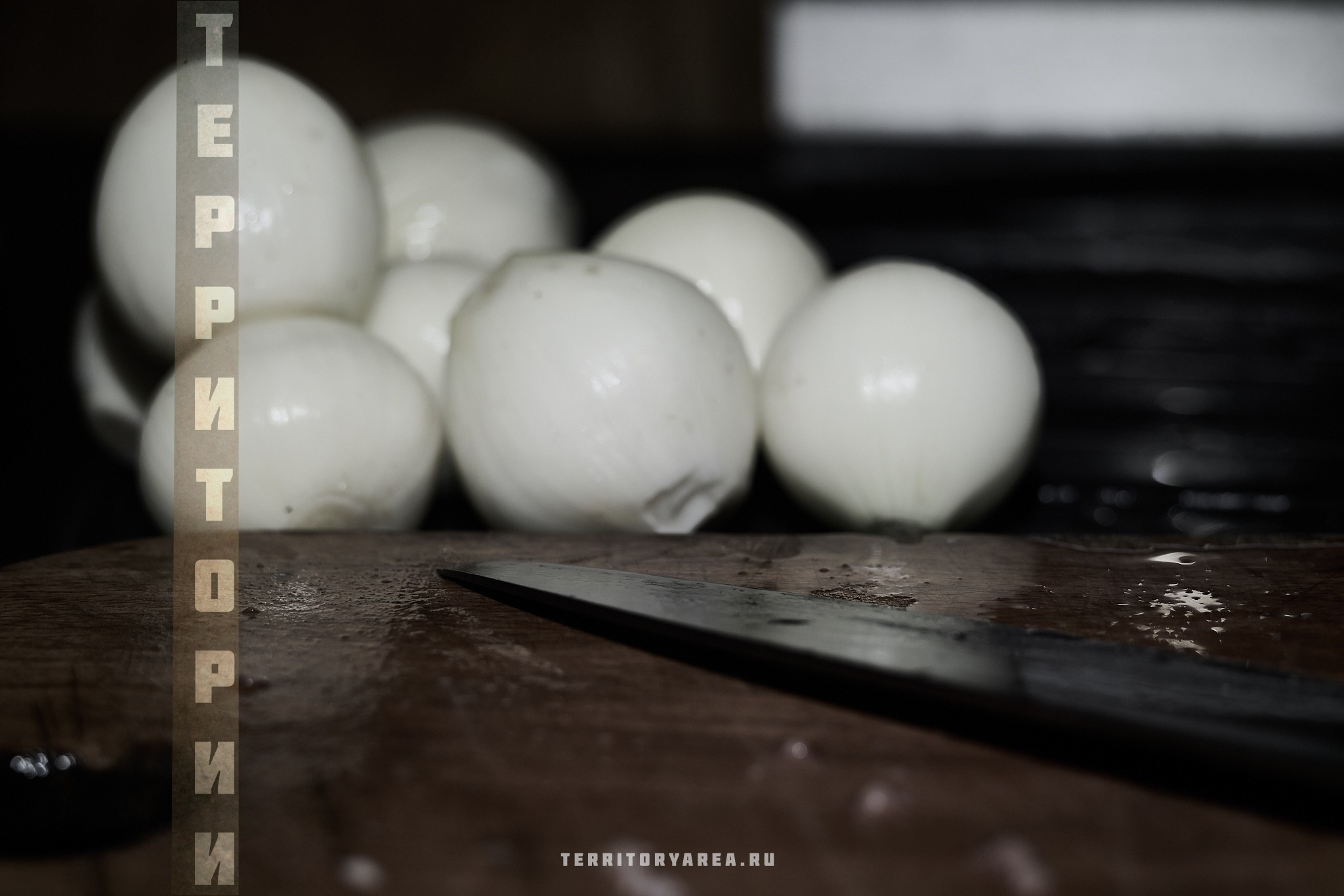 Открытки фотопроекта «Территории». Фотопроект «Территории»