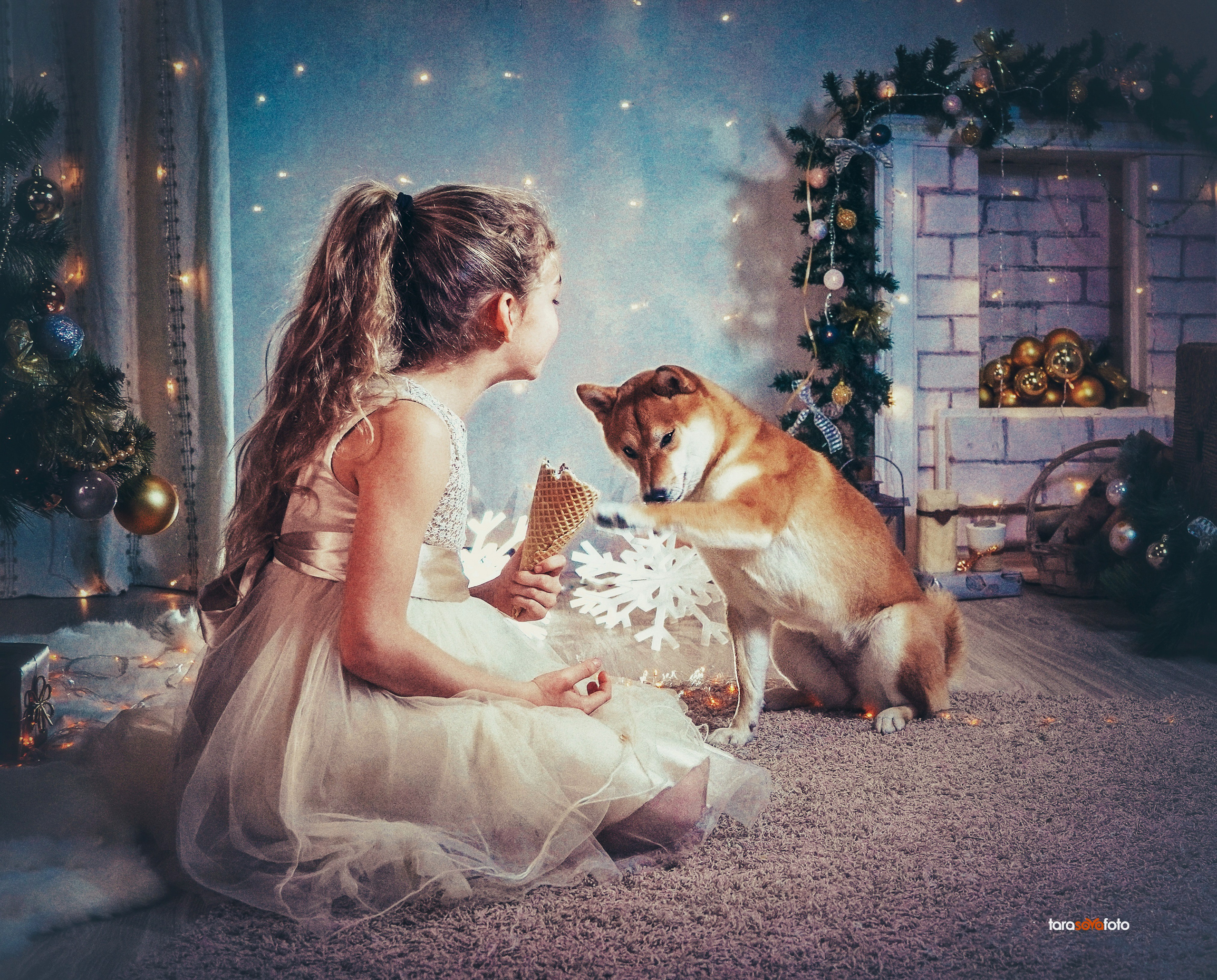 ФОТОПАМЯТЬ ВАШИХ ЭМОЦИЙ. Фотограф-анималист, семейный фотограф в Москве и Подмосковье. Фотосъёмка кинологических дисциплин