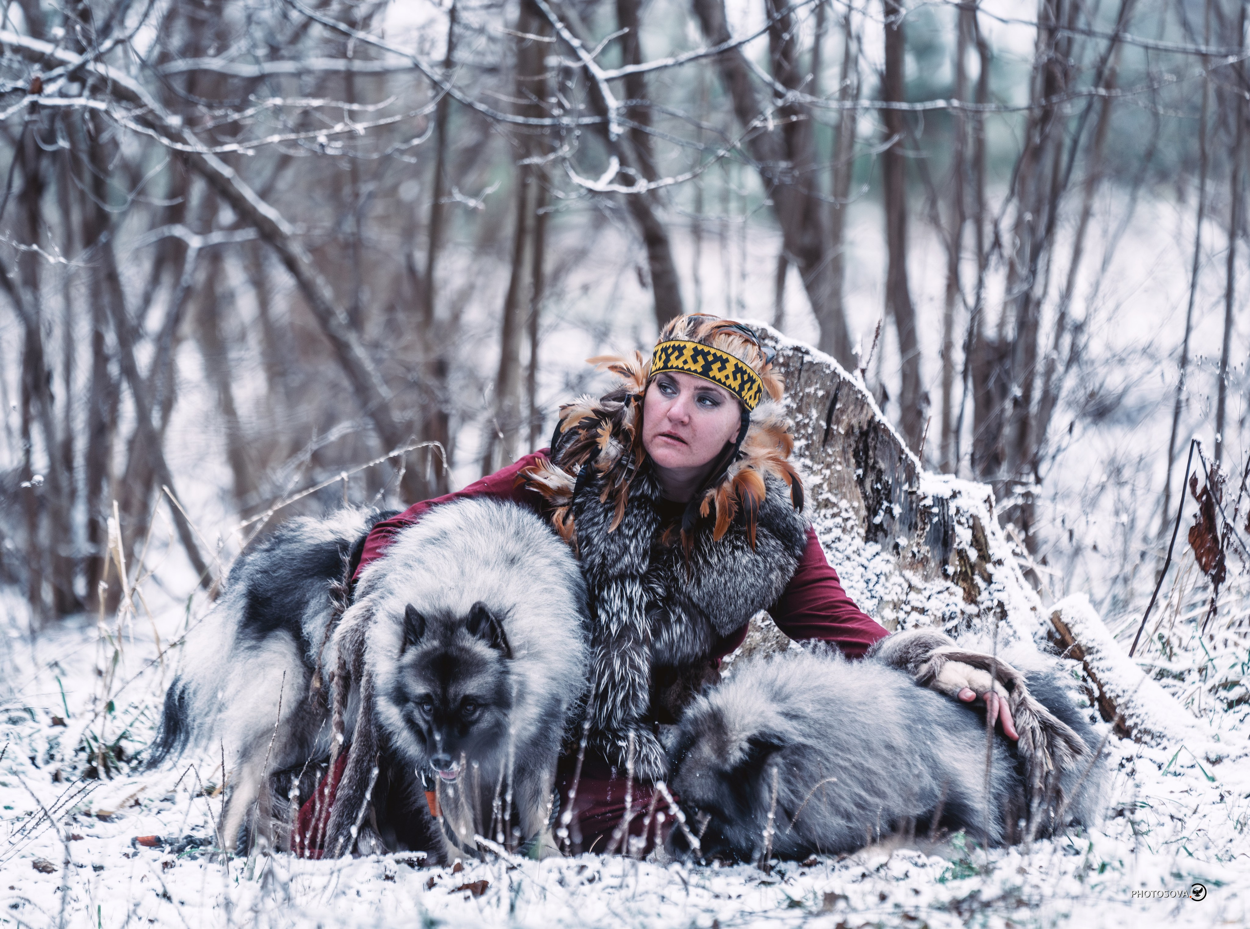 ФОТОПАМЯТЬ ВАШИХ ЭМОЦИЙ. Фотограф-анималист, семейный фотограф в Москве и Подмосковье. Фотосъёмка кинологических дисциплин
