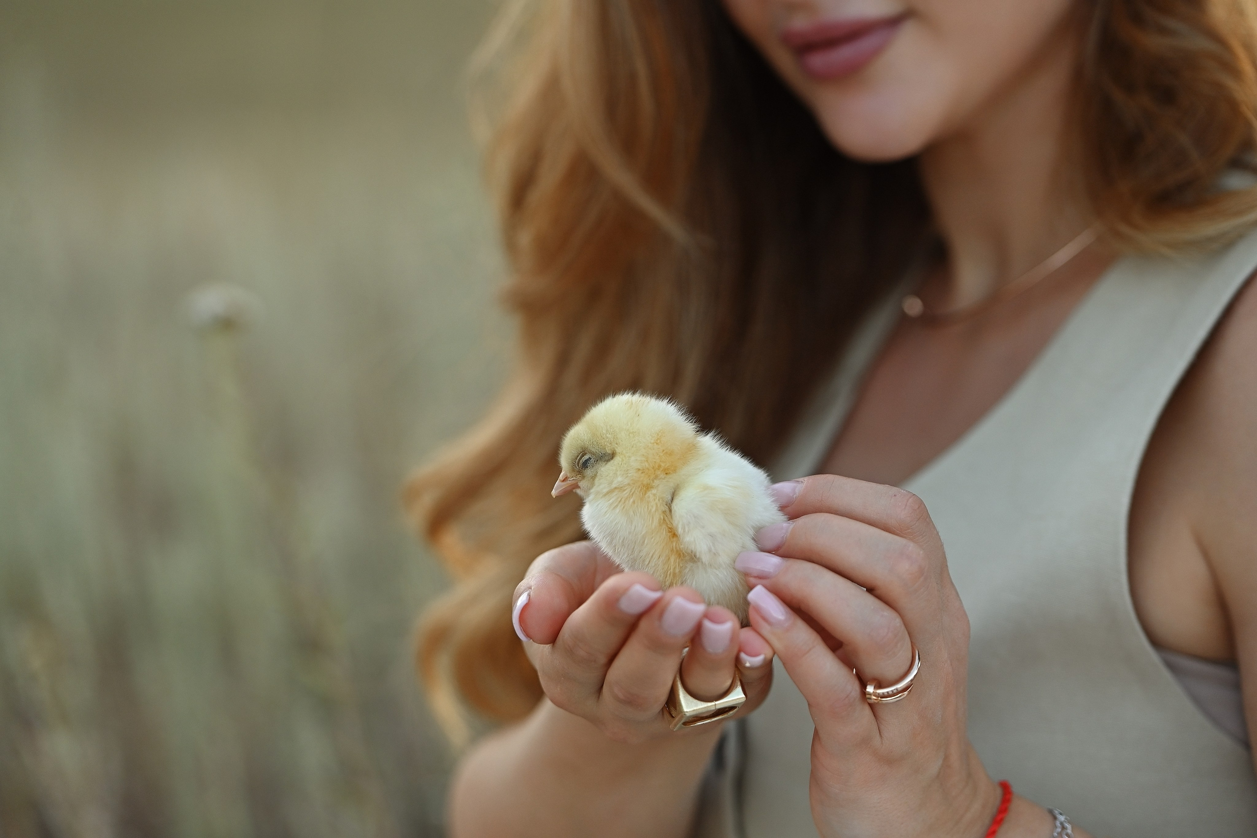 Элла. Свадебный и семейный фотограф в Самаре Головань Наталья