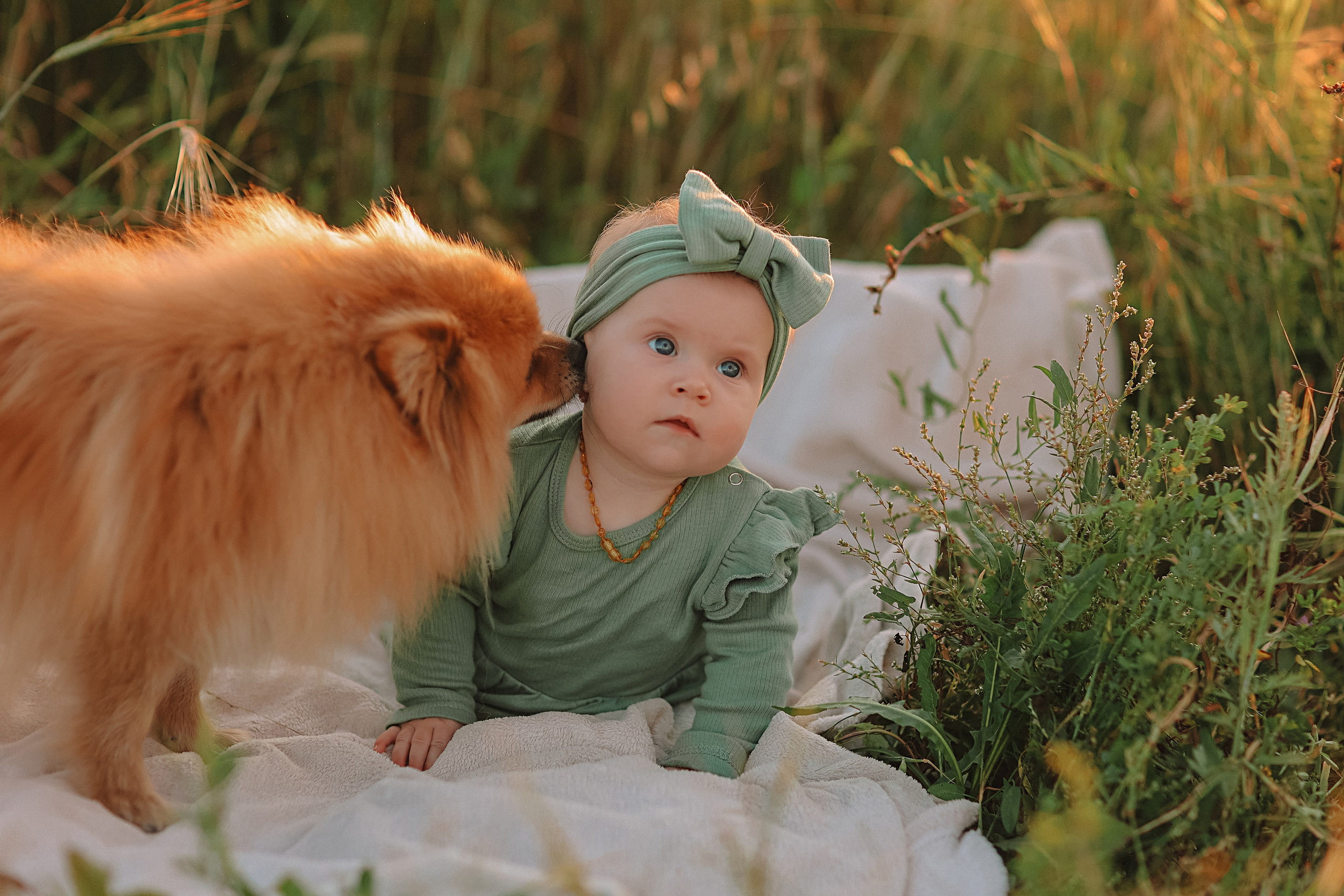 Закатное поле семейная. Семейный фотограф Тюмень, фотограф на роды Салмина Мария