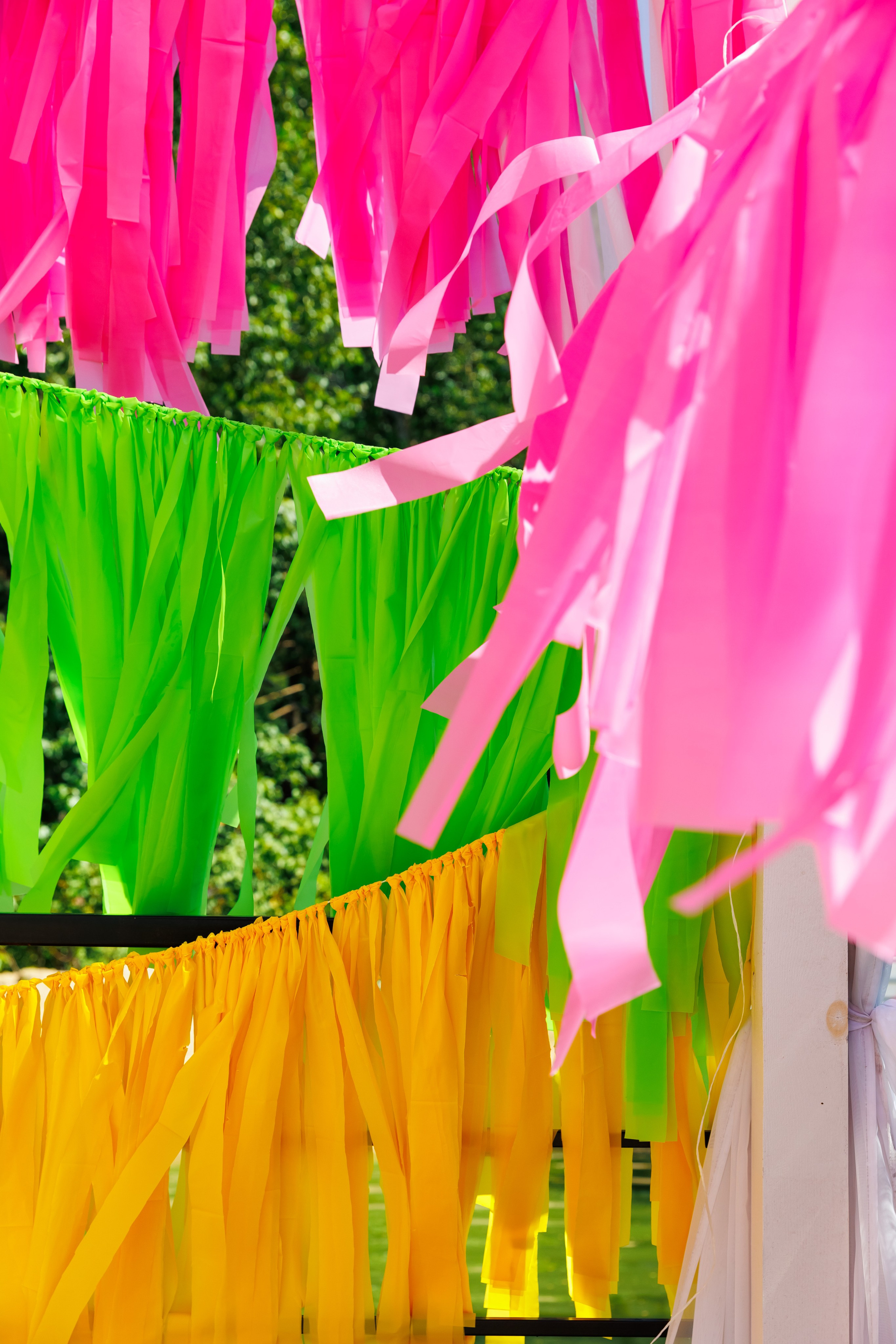 Летняя вечеринка декораторов ШИУ. Фотограф Новосибирск — Наталья Гресь