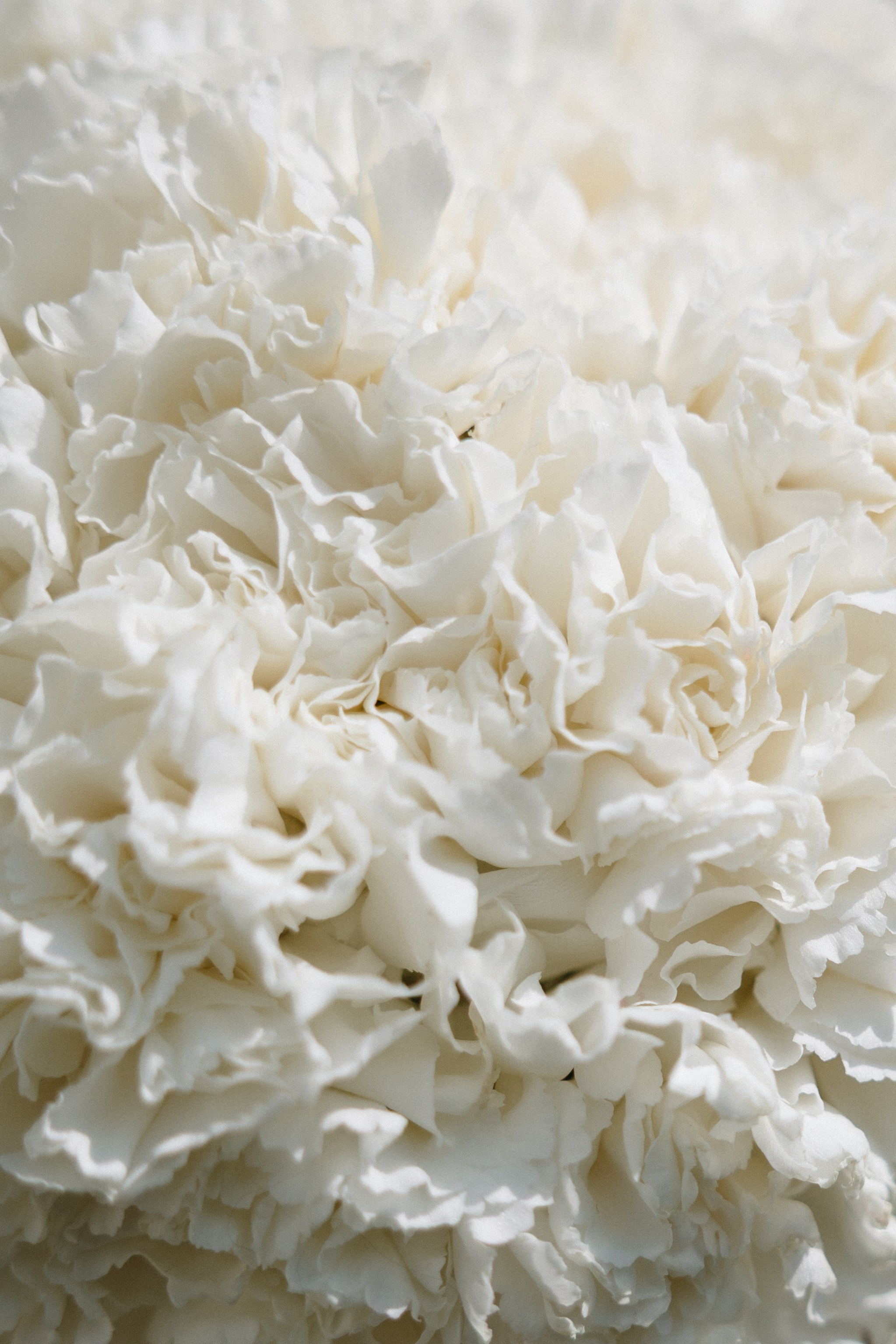 Даша&Вадим. Свадебный фотограф по всей Беларуси Цепелева Анна