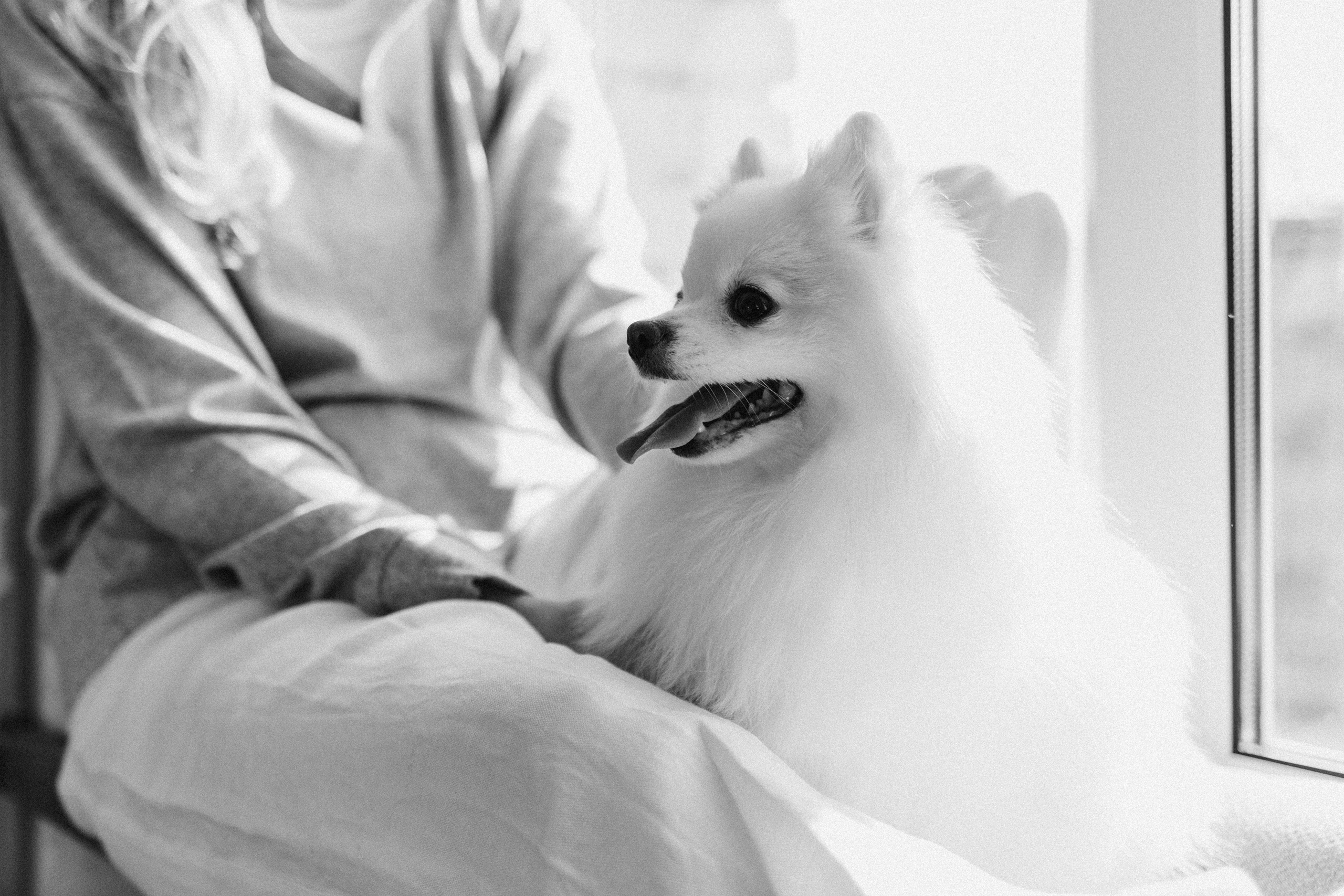 Джесси и ее семья. Фотограф — Анималист | Санкт-Петербург