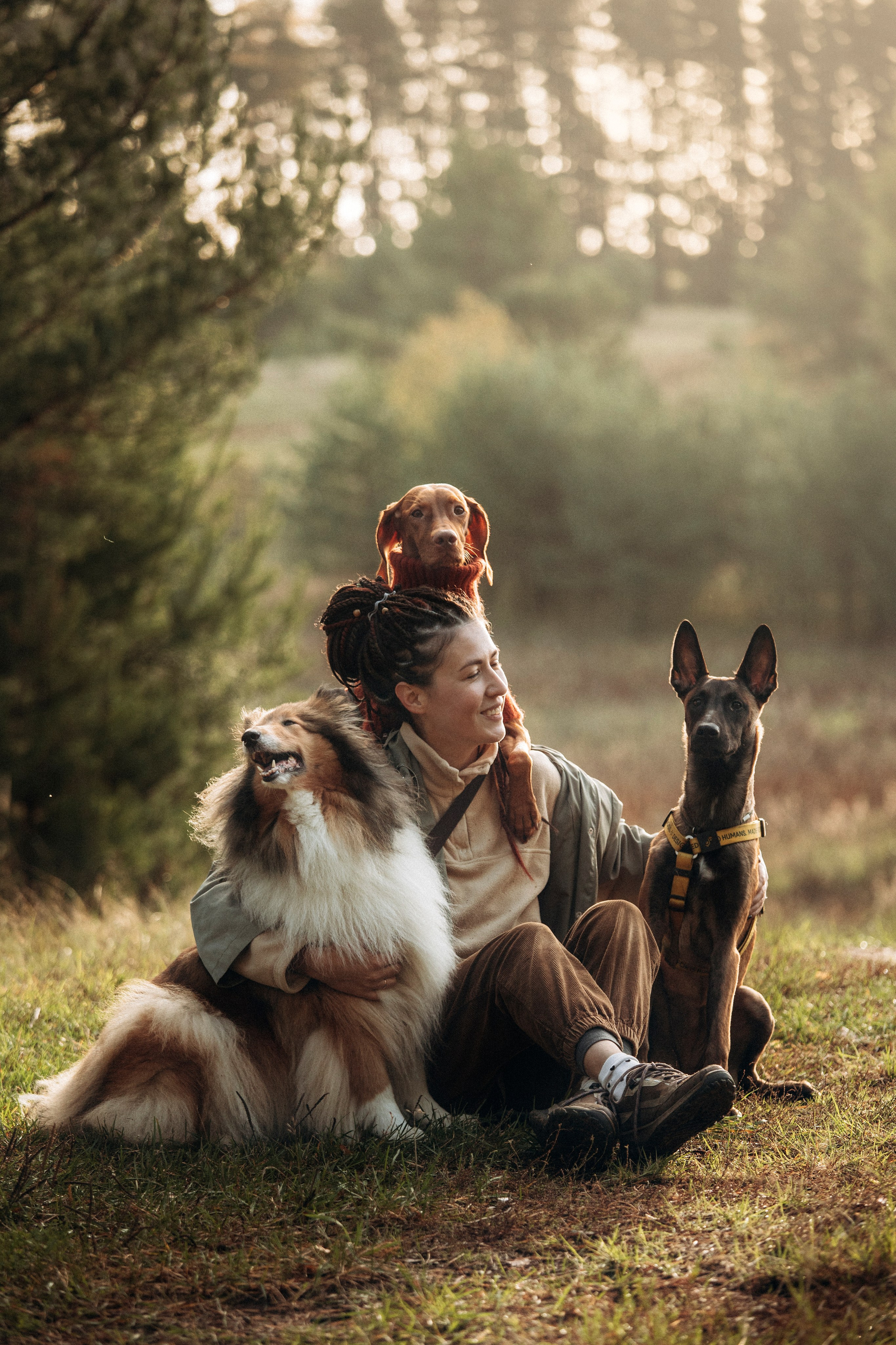 Трисс, Эста, Яся и их семья. Фотограф — Анималист | Санкт-Петербург