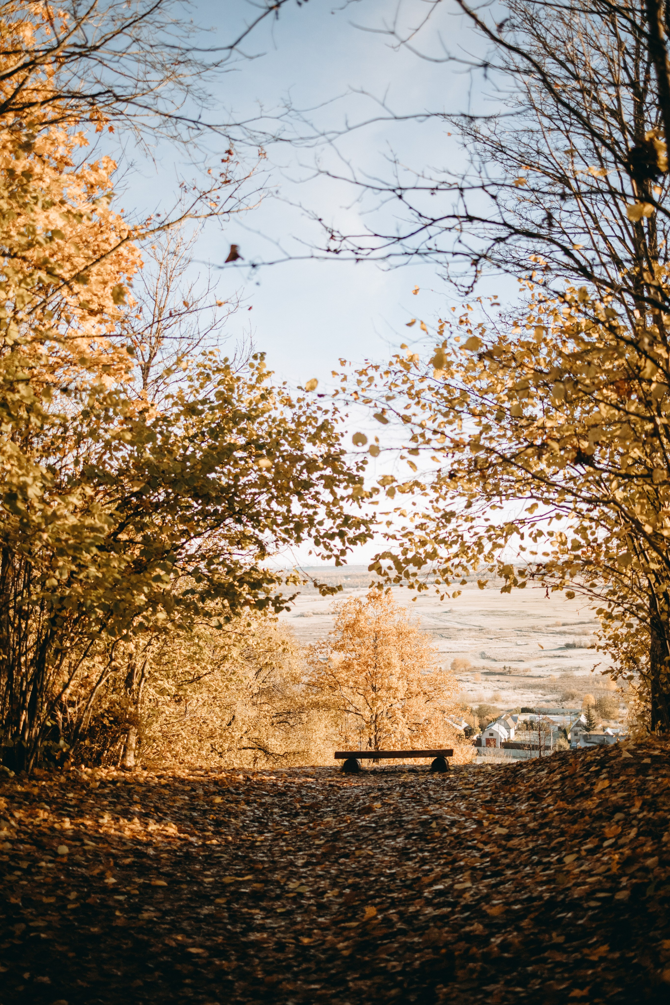 Ия и Барт. Фотограф — Анималист | Санкт-Петербург