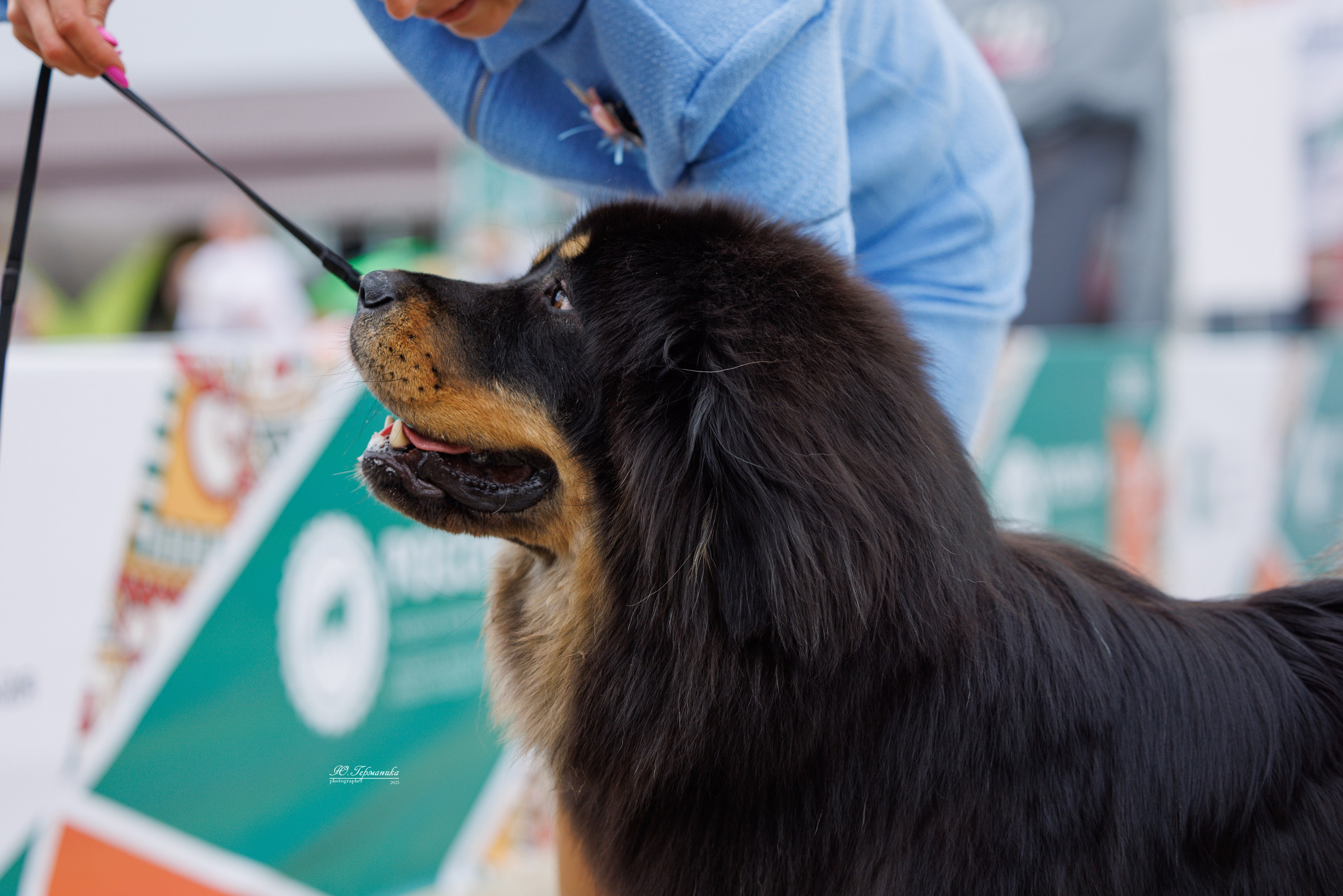 РОССИЯ 7-8.06.2025. Фотограф-анималист Юлия Германика