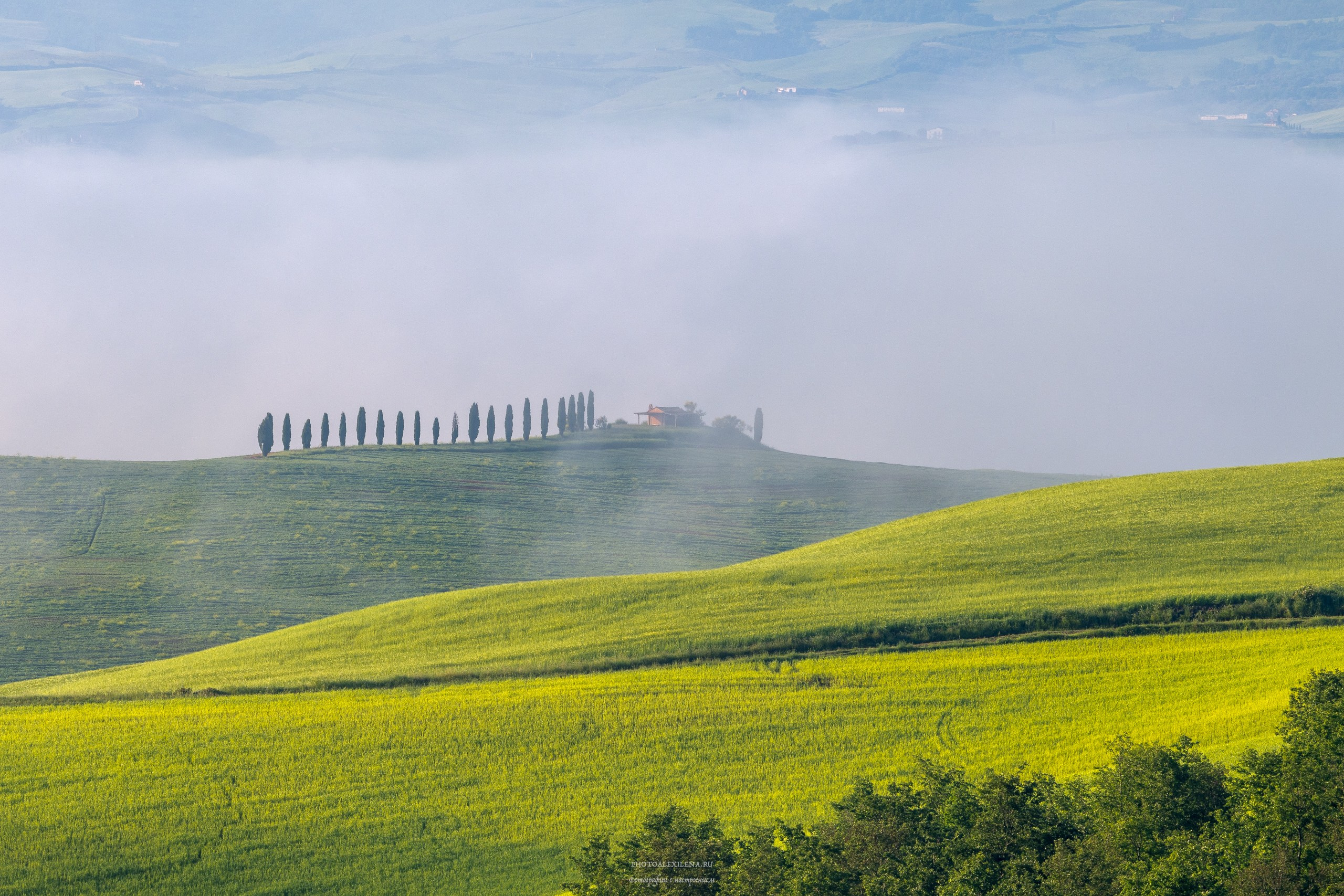 Волшебное утро в Тоскане. Авторские стильные фотокартины