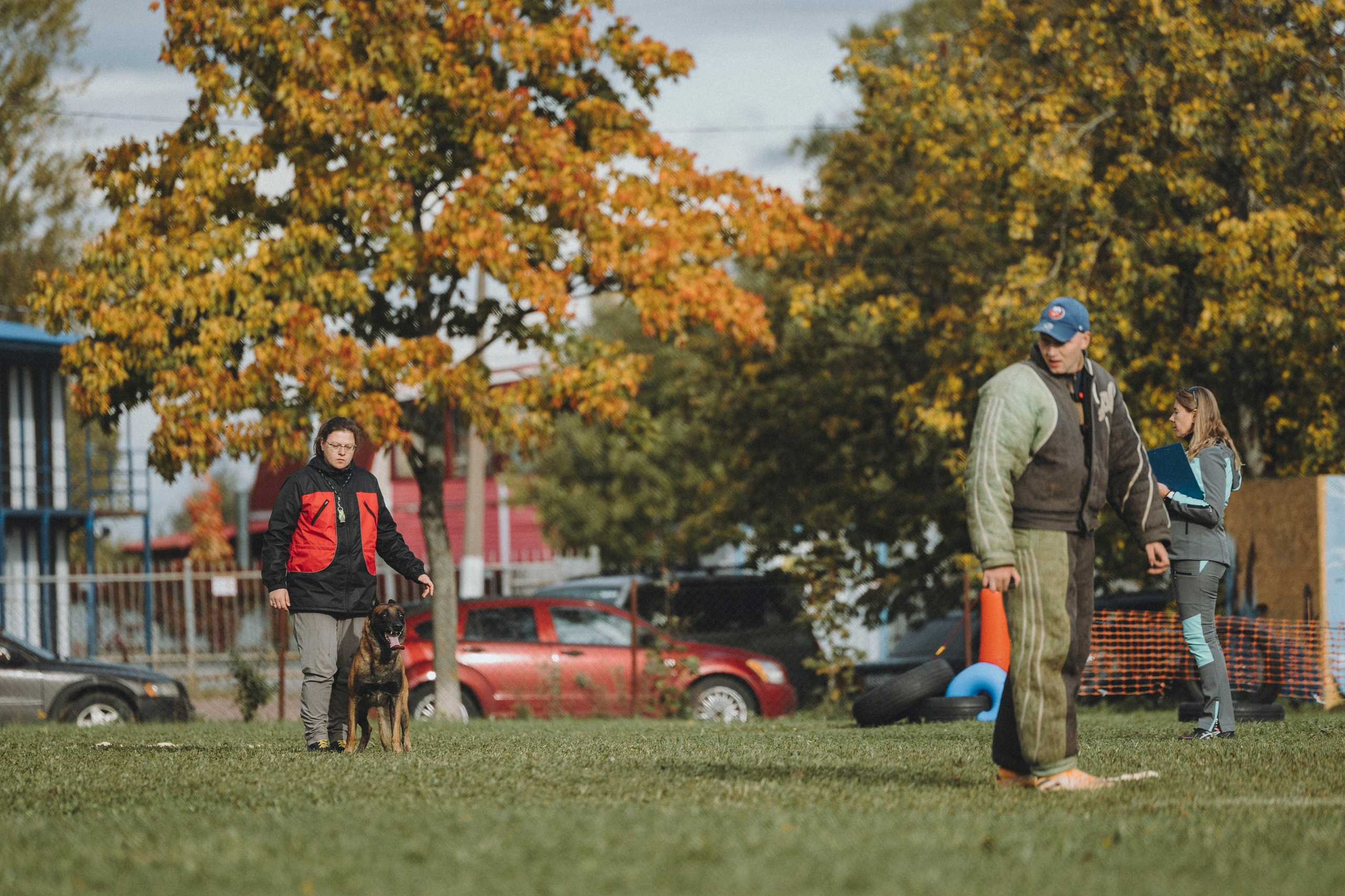 Испытания по мондьорингу г. Пушкин 29.09.2024. Фотограф-анималист Анна Маринич