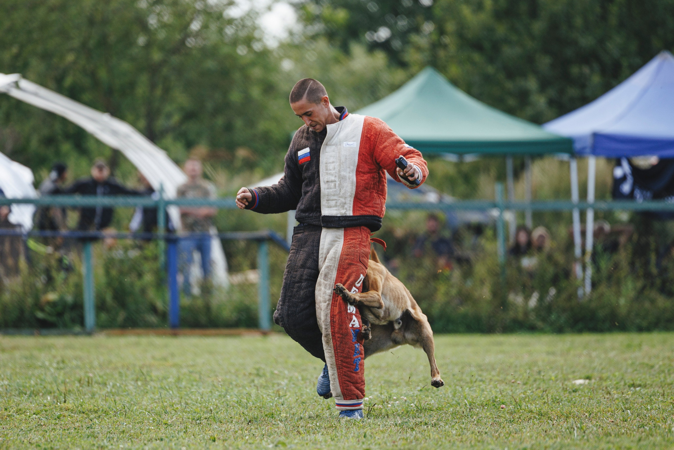 08.08.25-10.08.25 ЧР по мондьорингу г. Вологда. Фотограф-анималист Анна Маринич