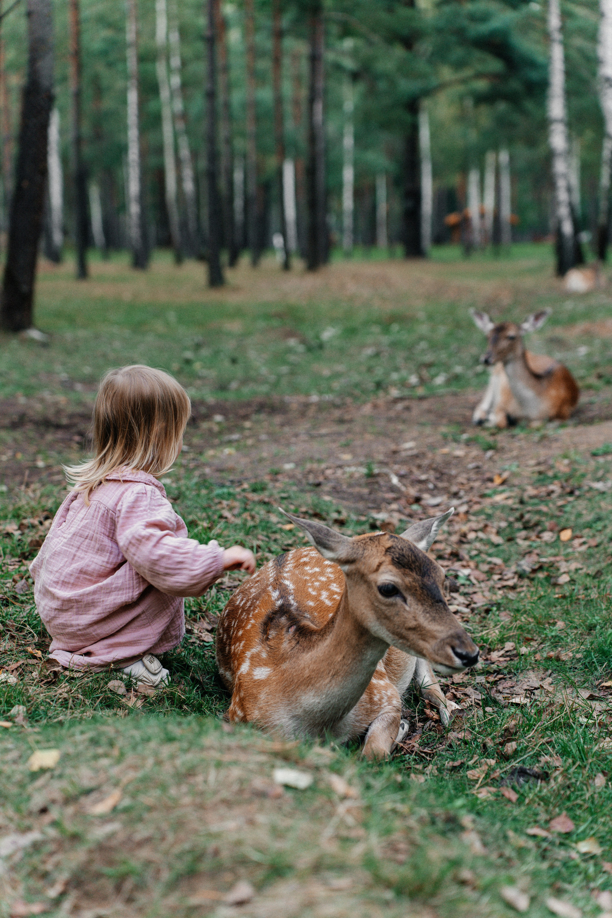 Диприз — в мире диких животных. Ваш семейный фотограф в Минске — Вика Трегубова