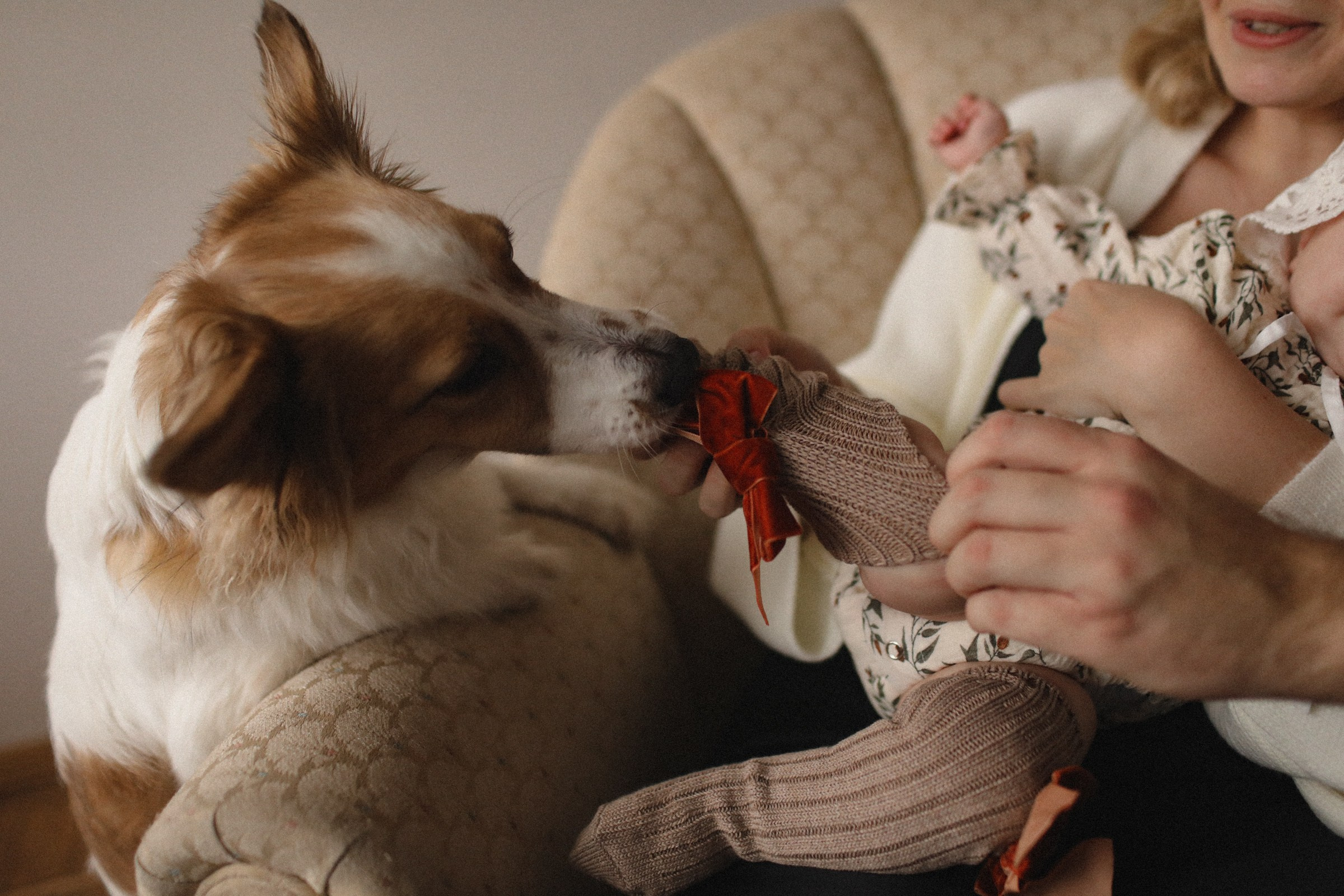 Нежность. Семейный фотограф в Москве Алевтина Носова
