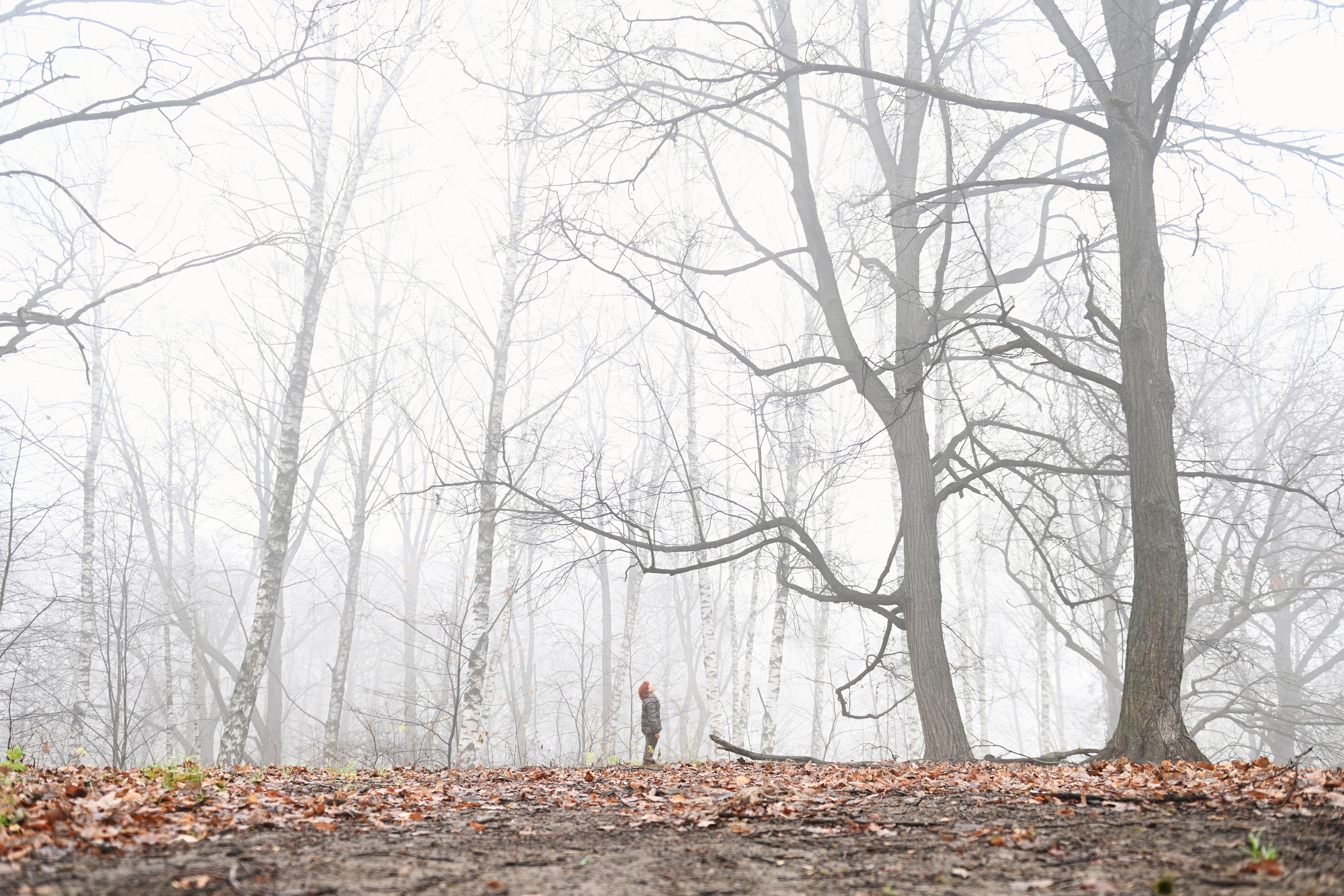 ТУМАН. Детский и семейный фотограф в Москве Ульяна Федорова