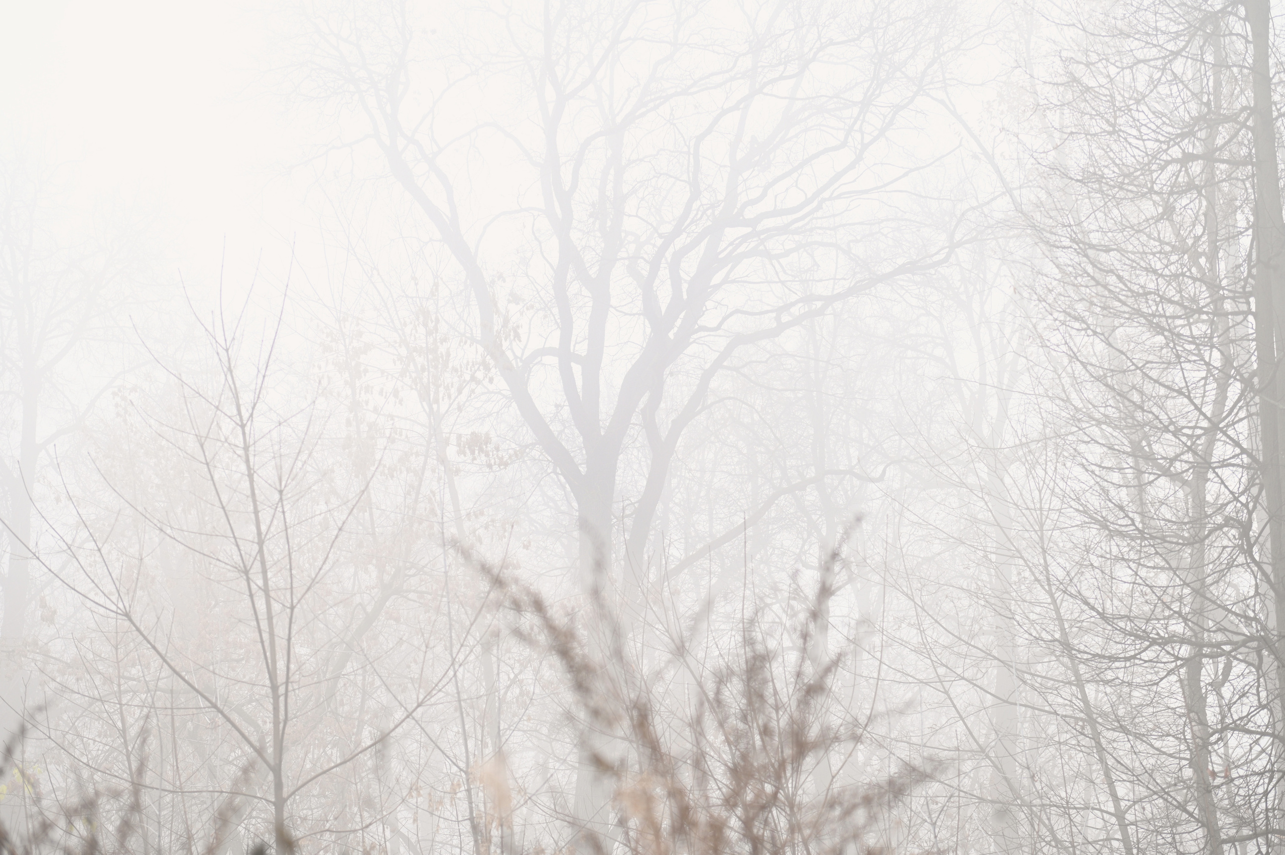 ТУМАН. Детский и семейный фотограф в Москве Ульяна Федорова