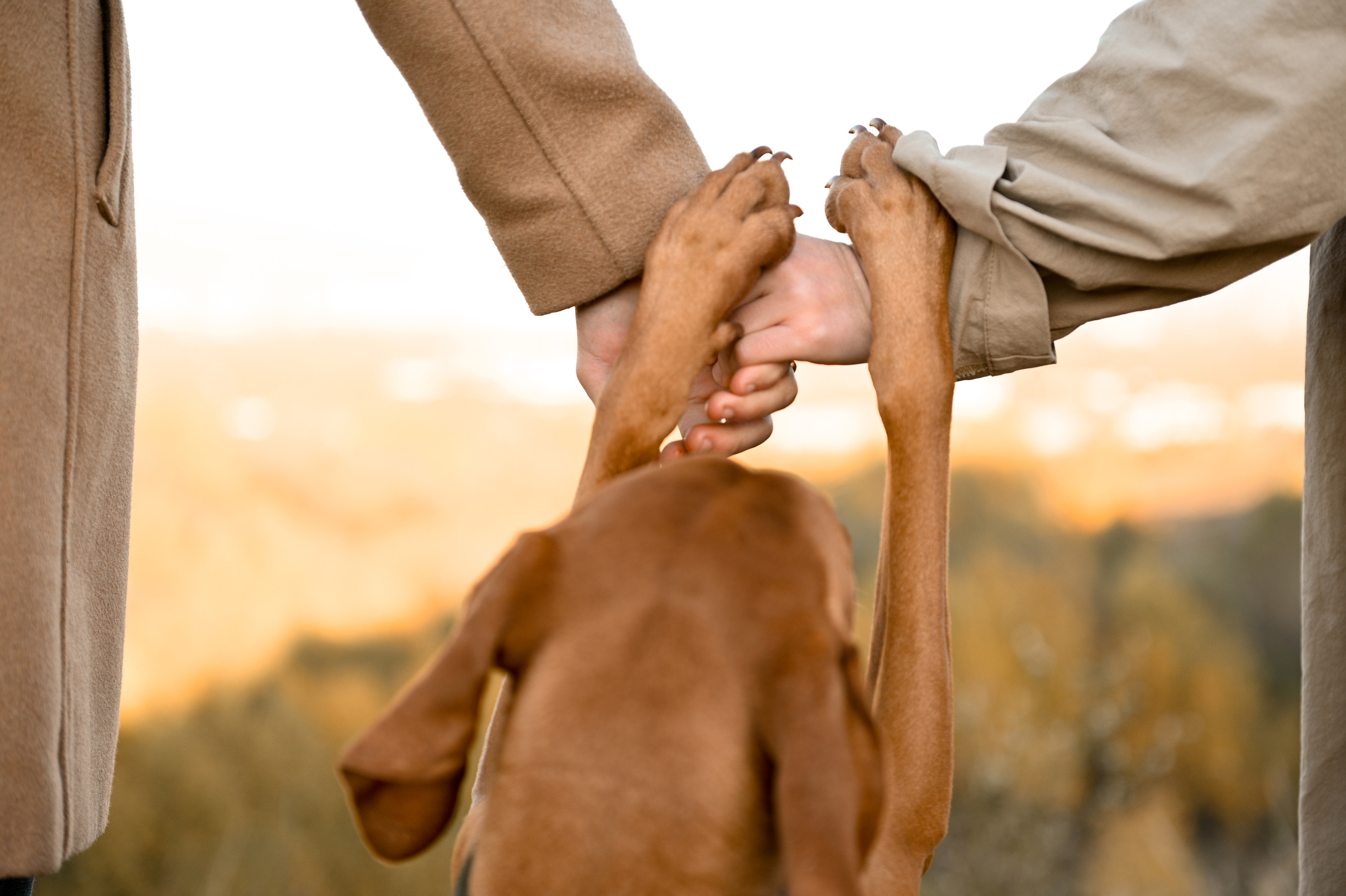 Фотопрогулка для Ани, Дани и Симы. Детский и семейный фотограф в Москве Ульяна Федорова