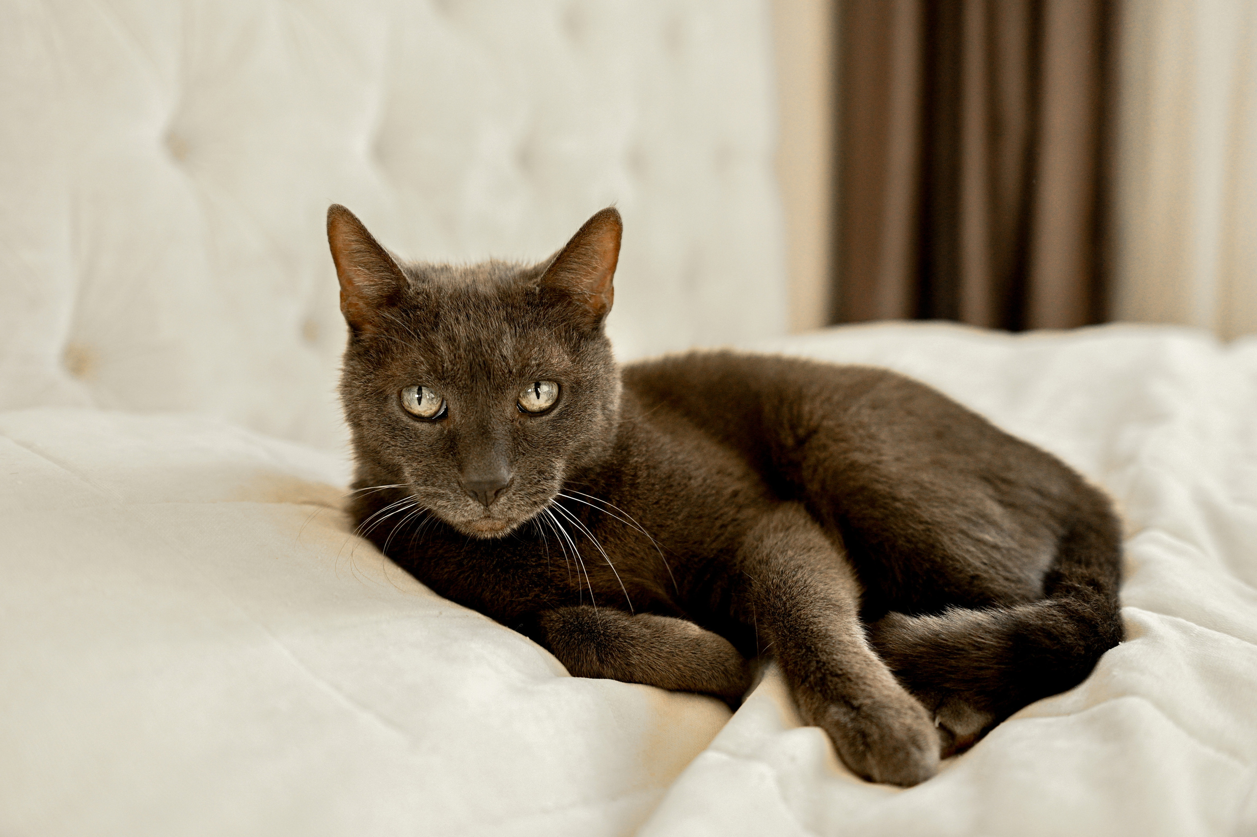 Домашняя съемка для Наташи, Владимира, Алисии, Тимура, Артемия и Гудвина. Детский и семейный фотограф в Москве Ульяна Федорова