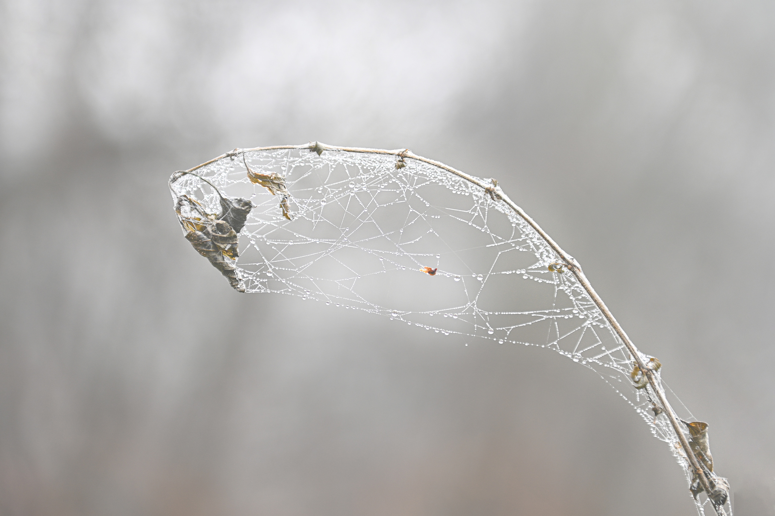 ТУМАН. Детский и семейный фотограф в Москве Ульяна Федорова