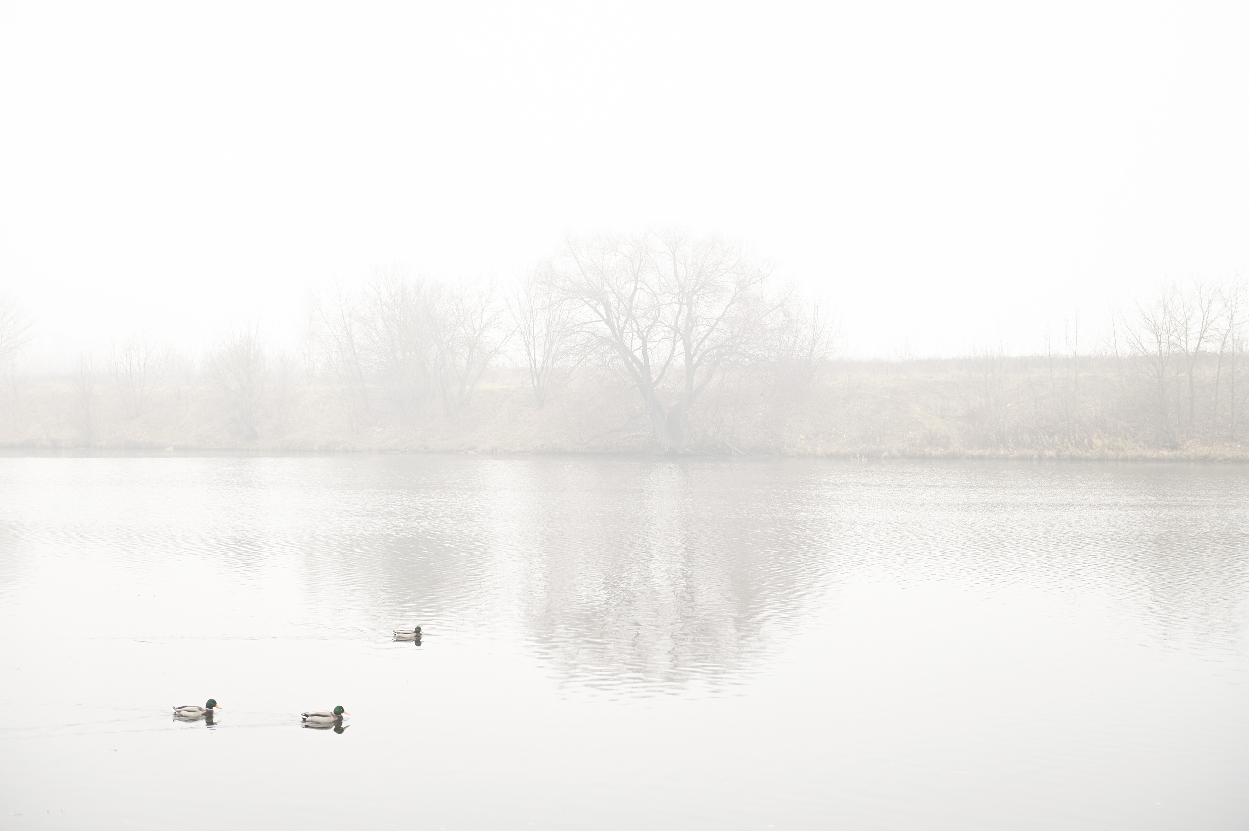 ТУМАН. Детский и семейный фотограф в Москве Ульяна Федорова