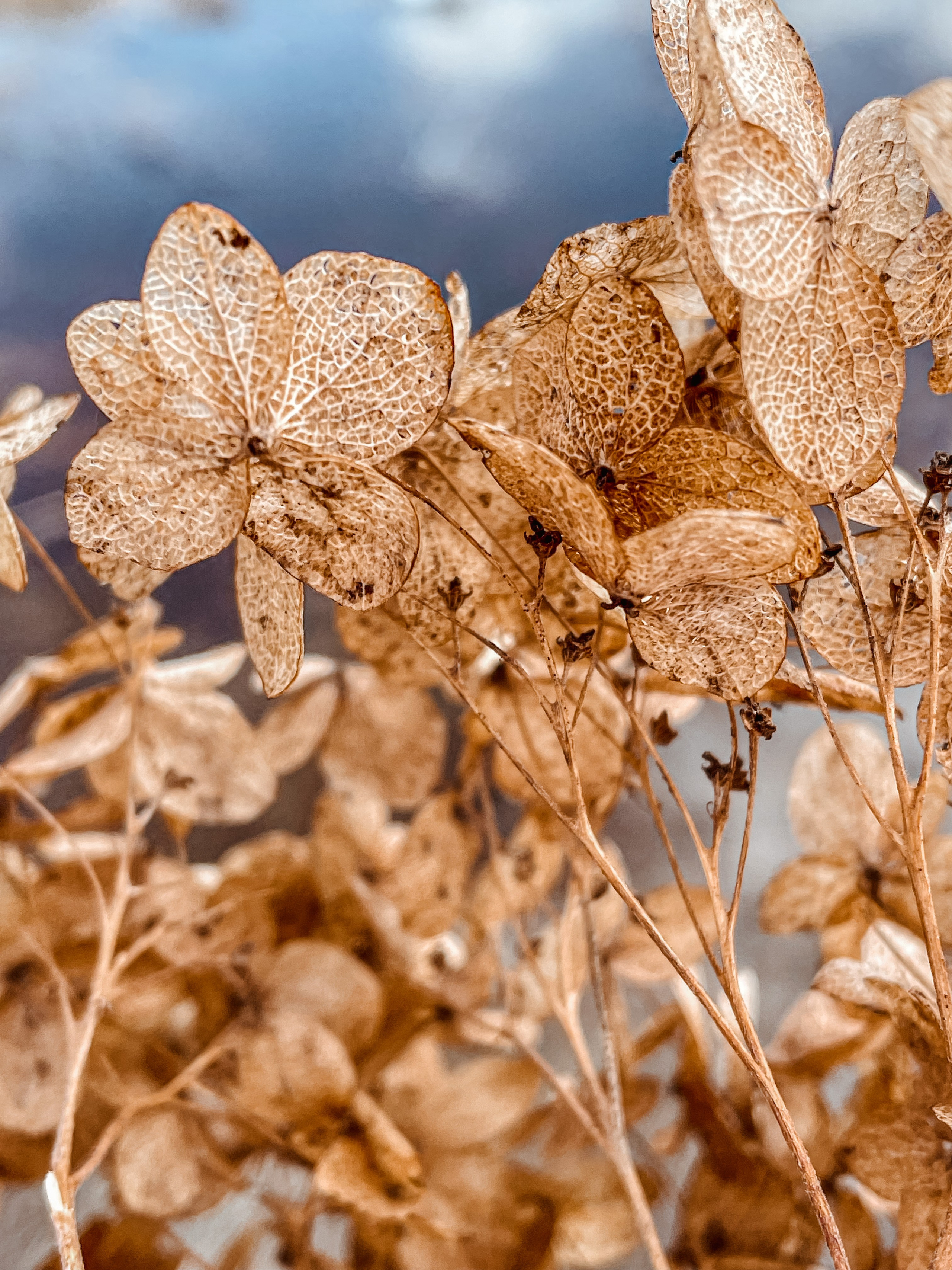 Пейзаж. Фотограф Олеся Шипихина г. Москва