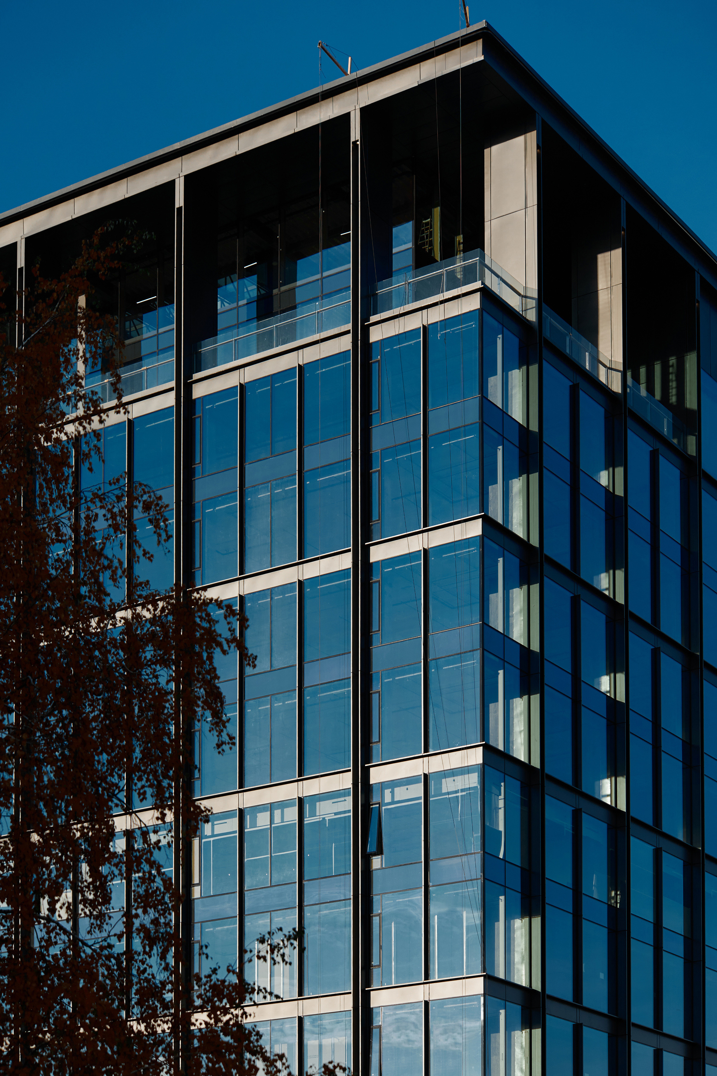 Arcus. SAVA Photographer