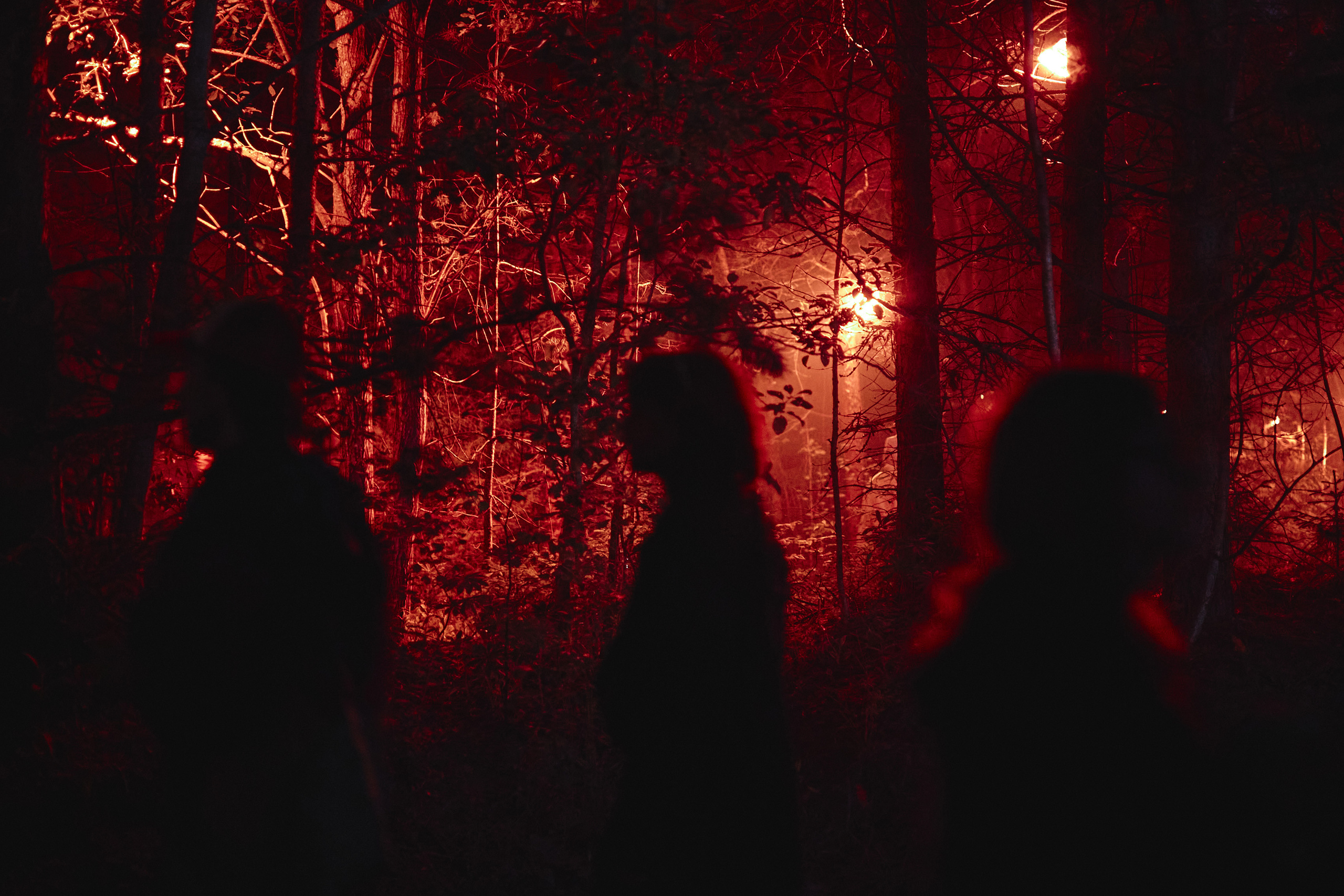 Outline. SAVA Photographer