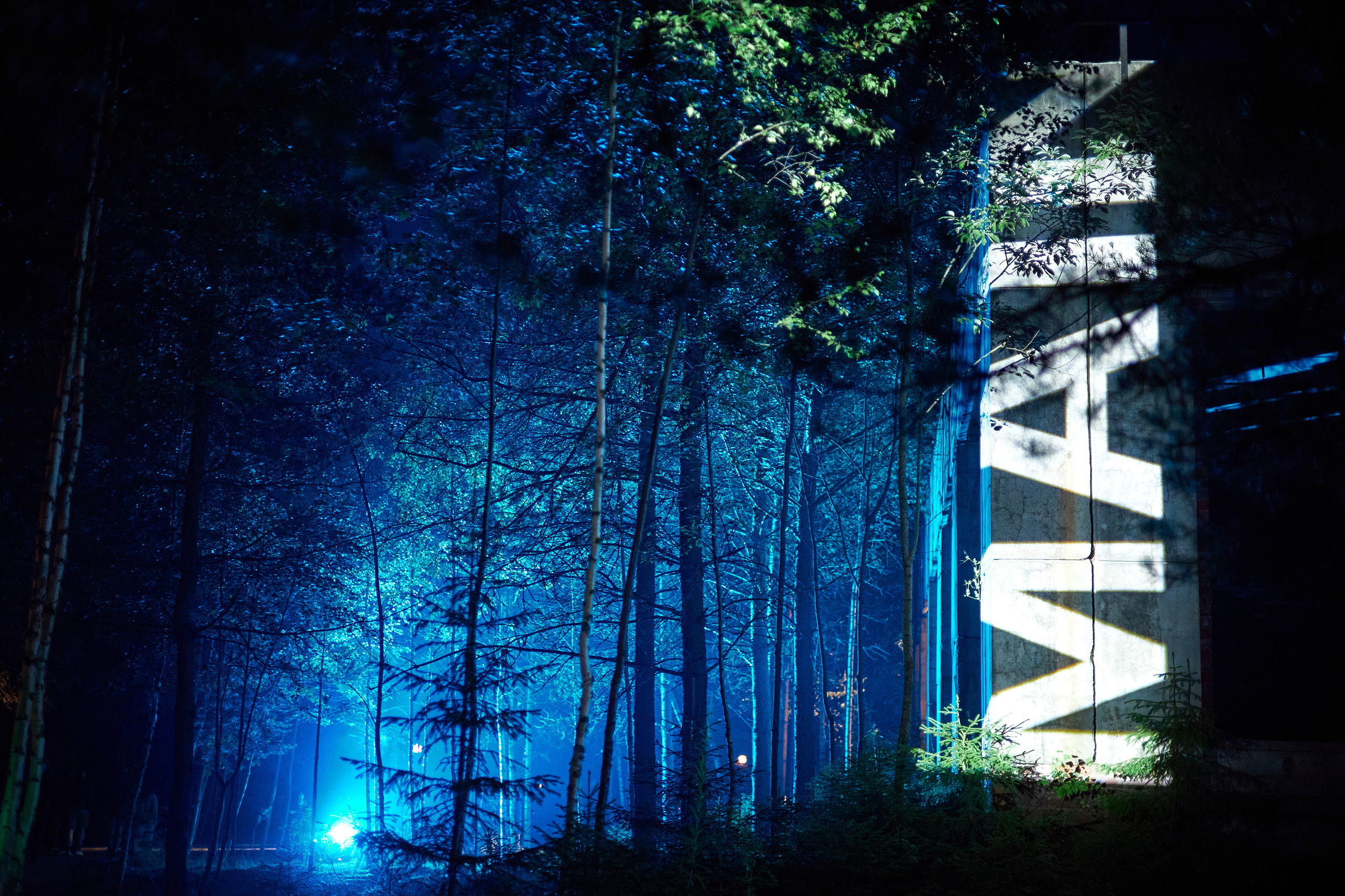 Outline. SAVA Photographer