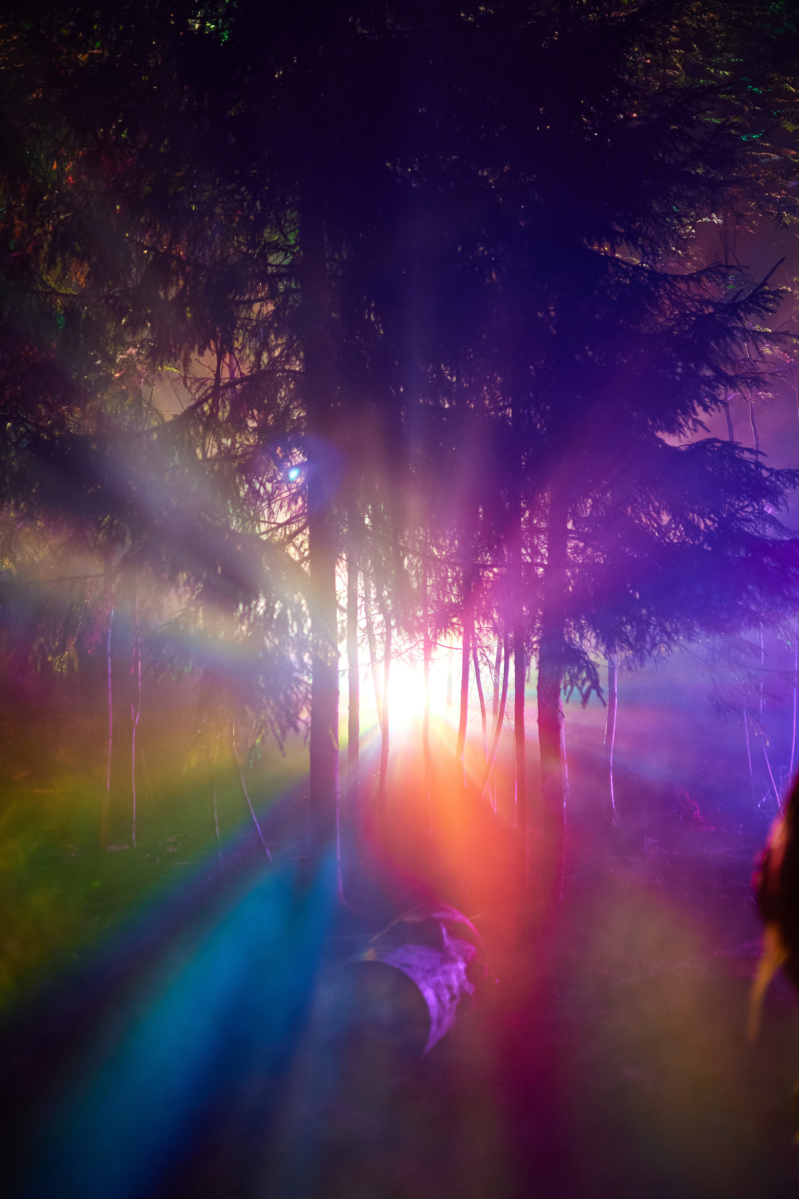 Outline. SAVA Photographer