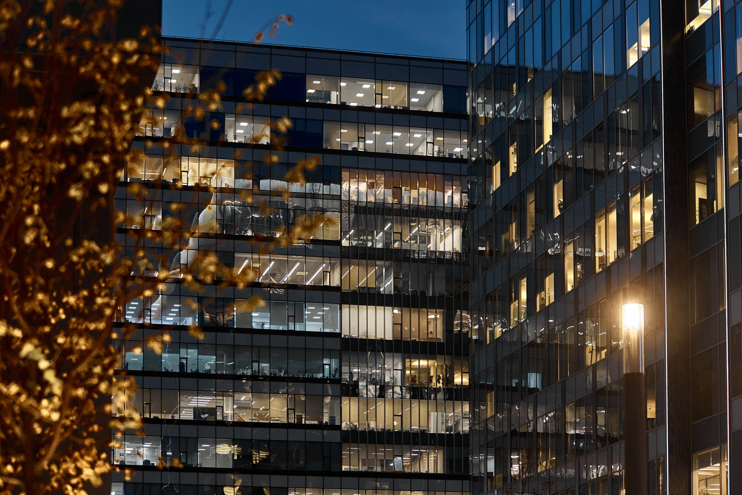 Arcus. SAVA Photographer