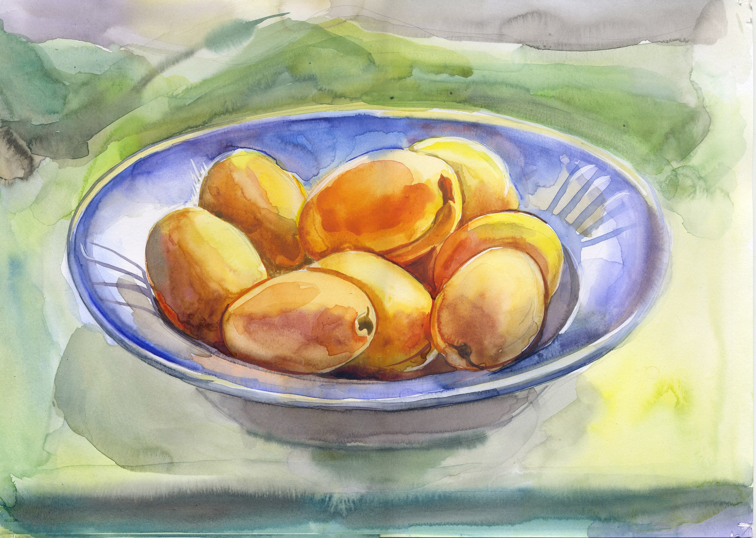 Абрикосы на тарелке с голубой каймой, зеленый фон