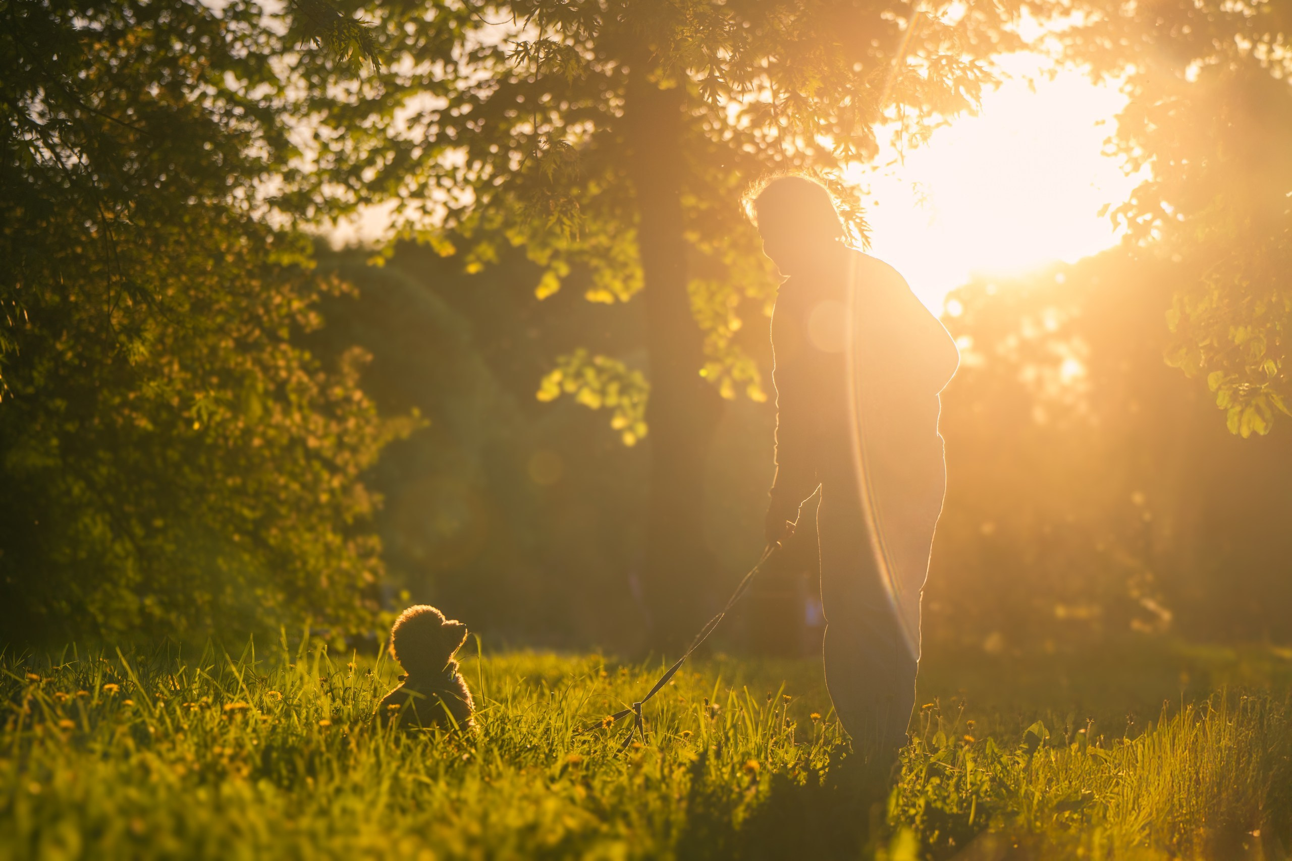 Юля с пуделем. Фотограф Анималист в Москве Анастасия Жучкова