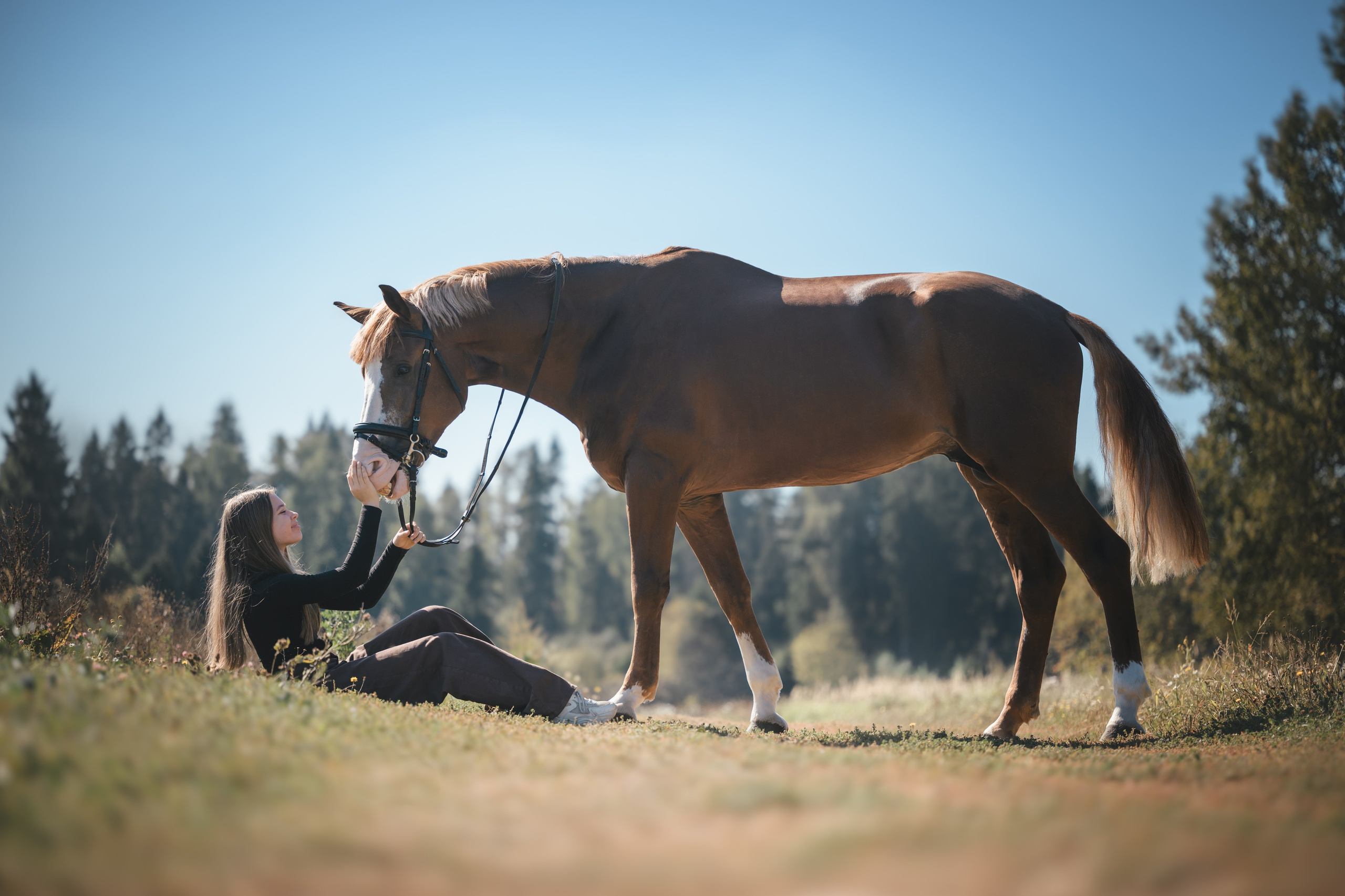 Виктория и Лео. Фотограф Анималист в Москве Анастасия Жучкова