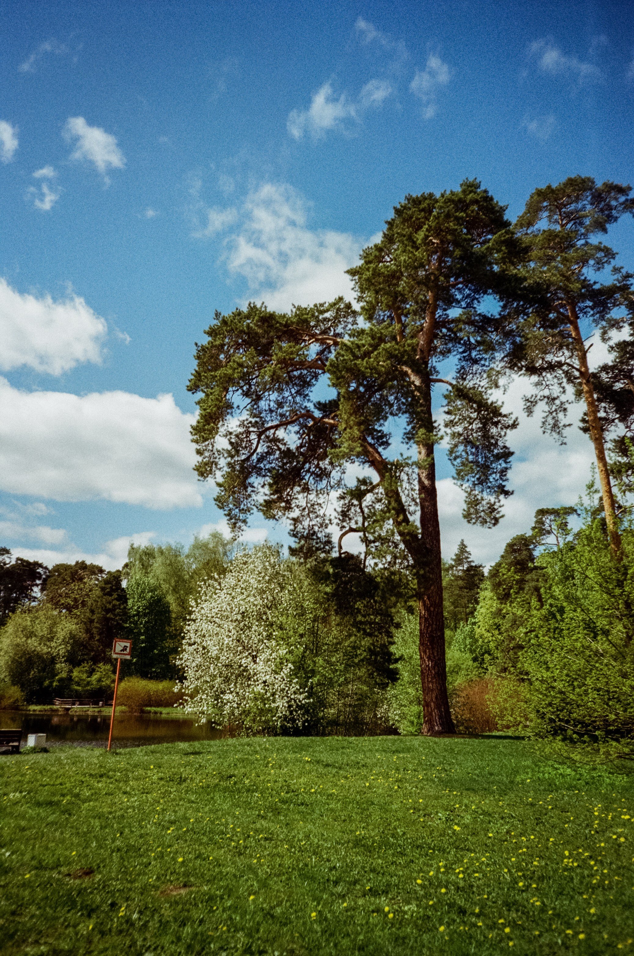 Ricoh R1 | Kodak ProImage 100 | 6 мая 2025 года СерБор