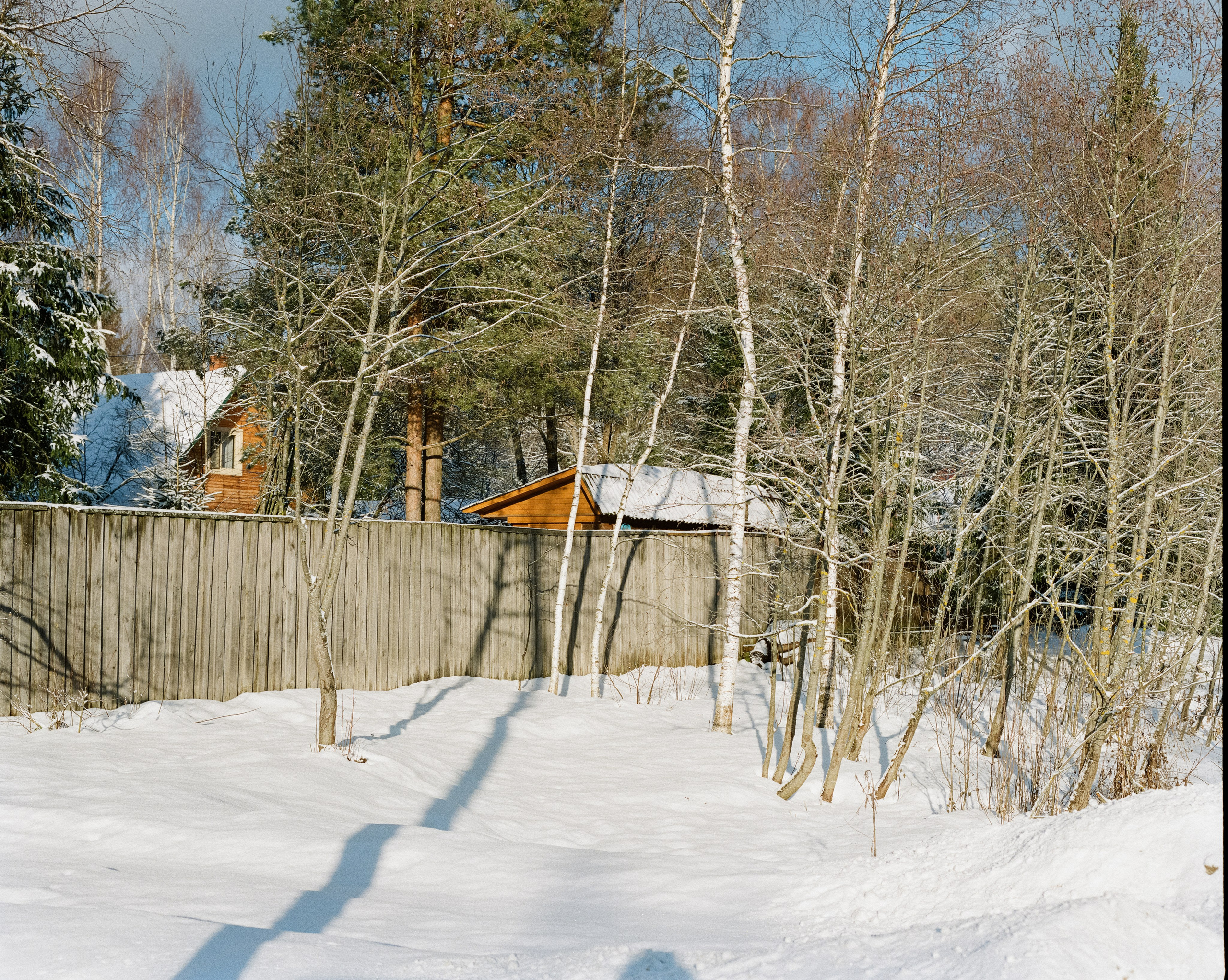 Pentax 67 — SMC Pentax 67 105 mm f/2.4 / Kodak Portra 800 / 3 января Лукино