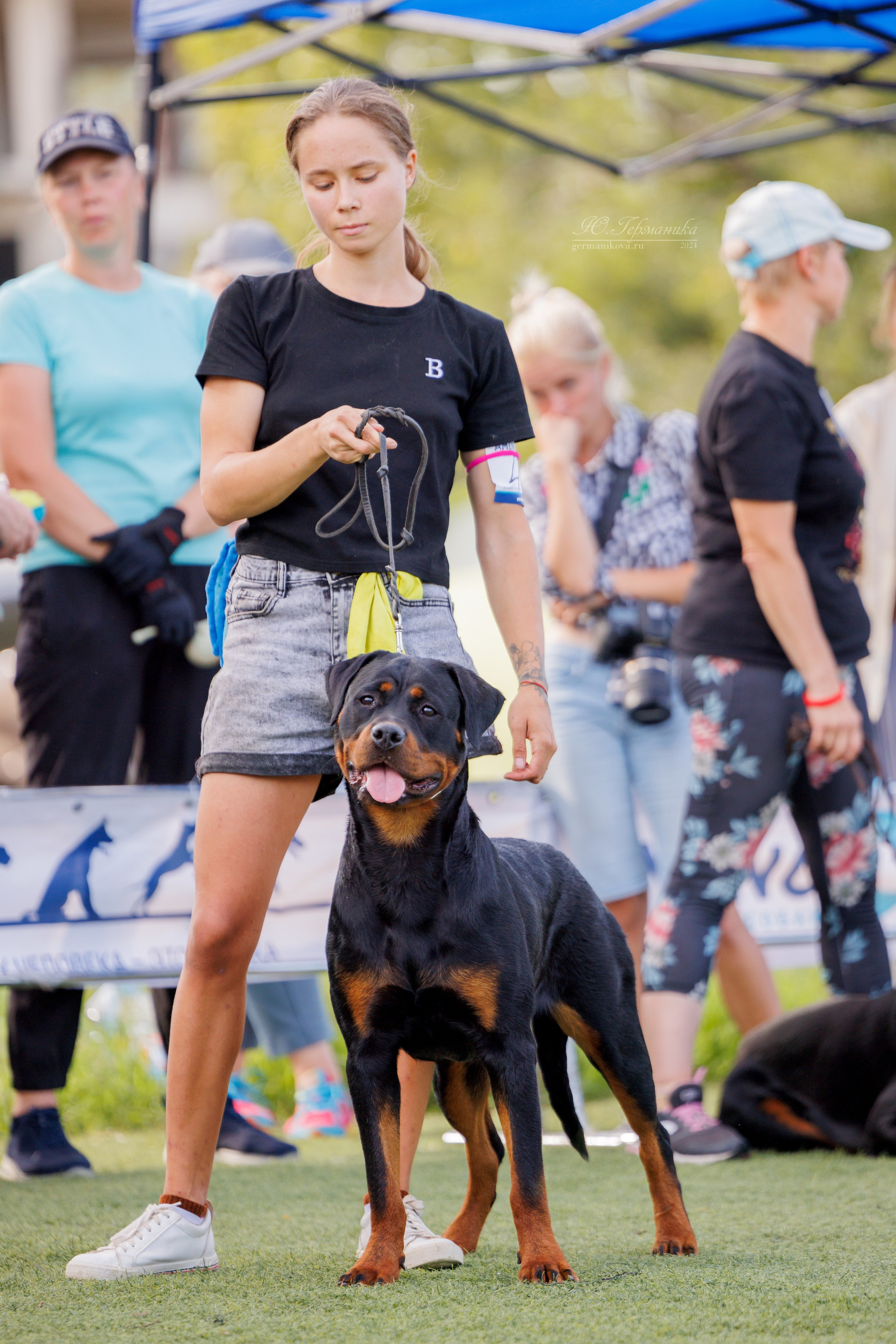 Анапа ротвейлеры 14-15.09.2024. Фотограф-анималист Юлия Германика