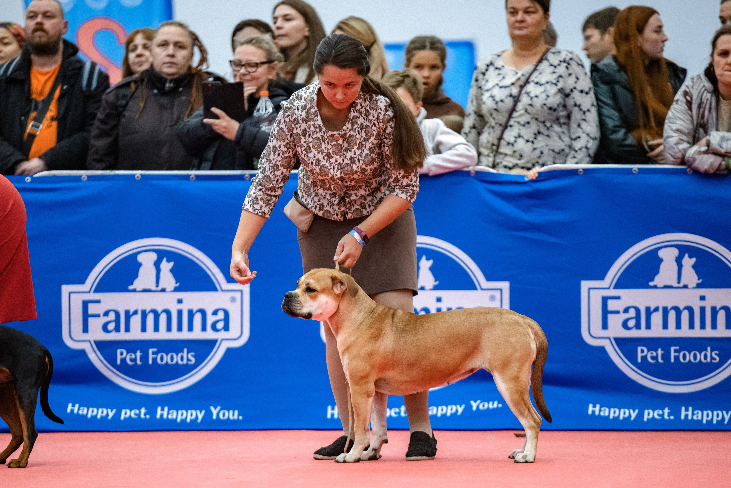 Нижний Новгород 21-22.10.2023. Фотограф-анималист Юлия Германика