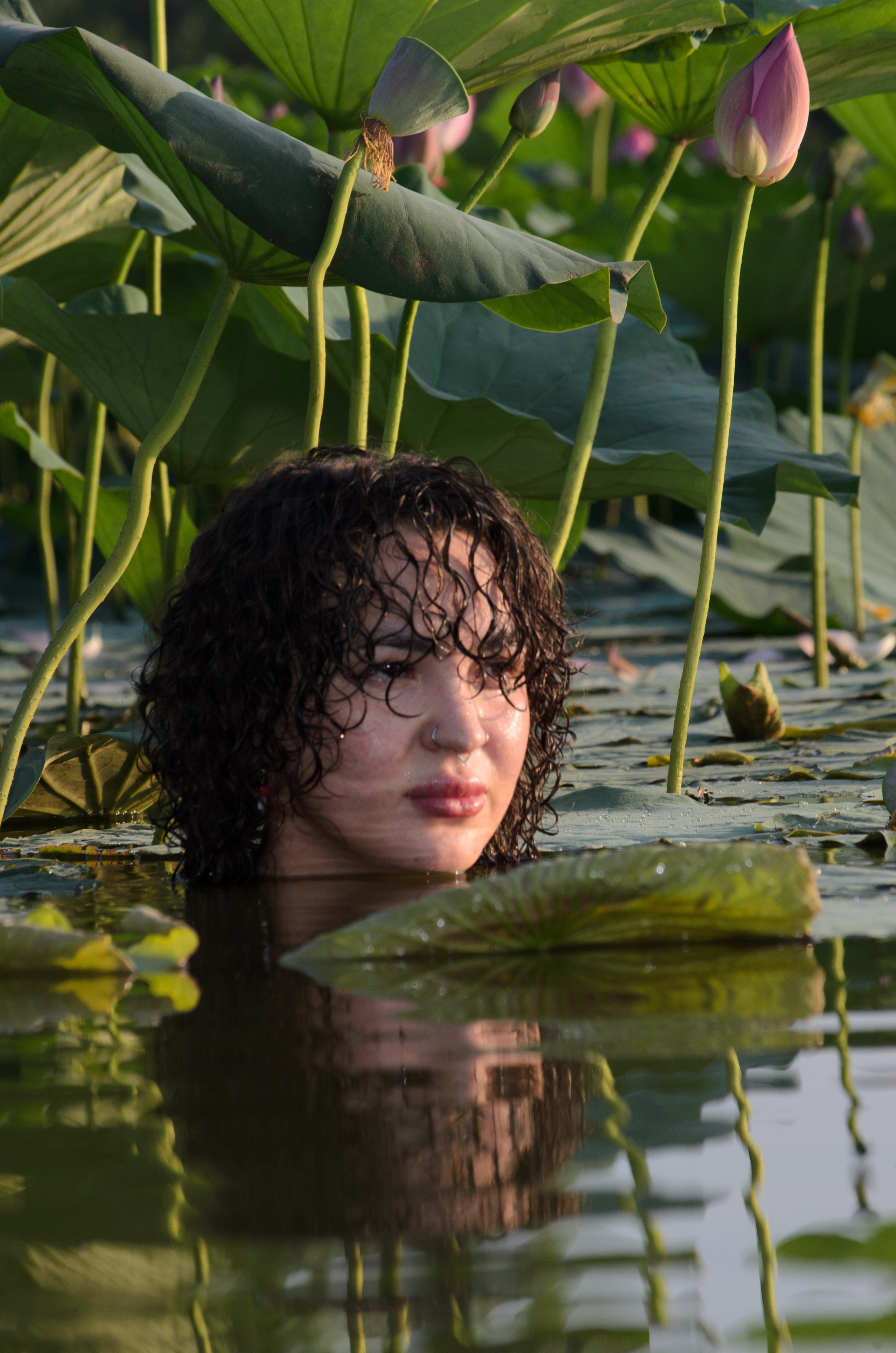 Лотосы. Колентеева Наталья/фотограф