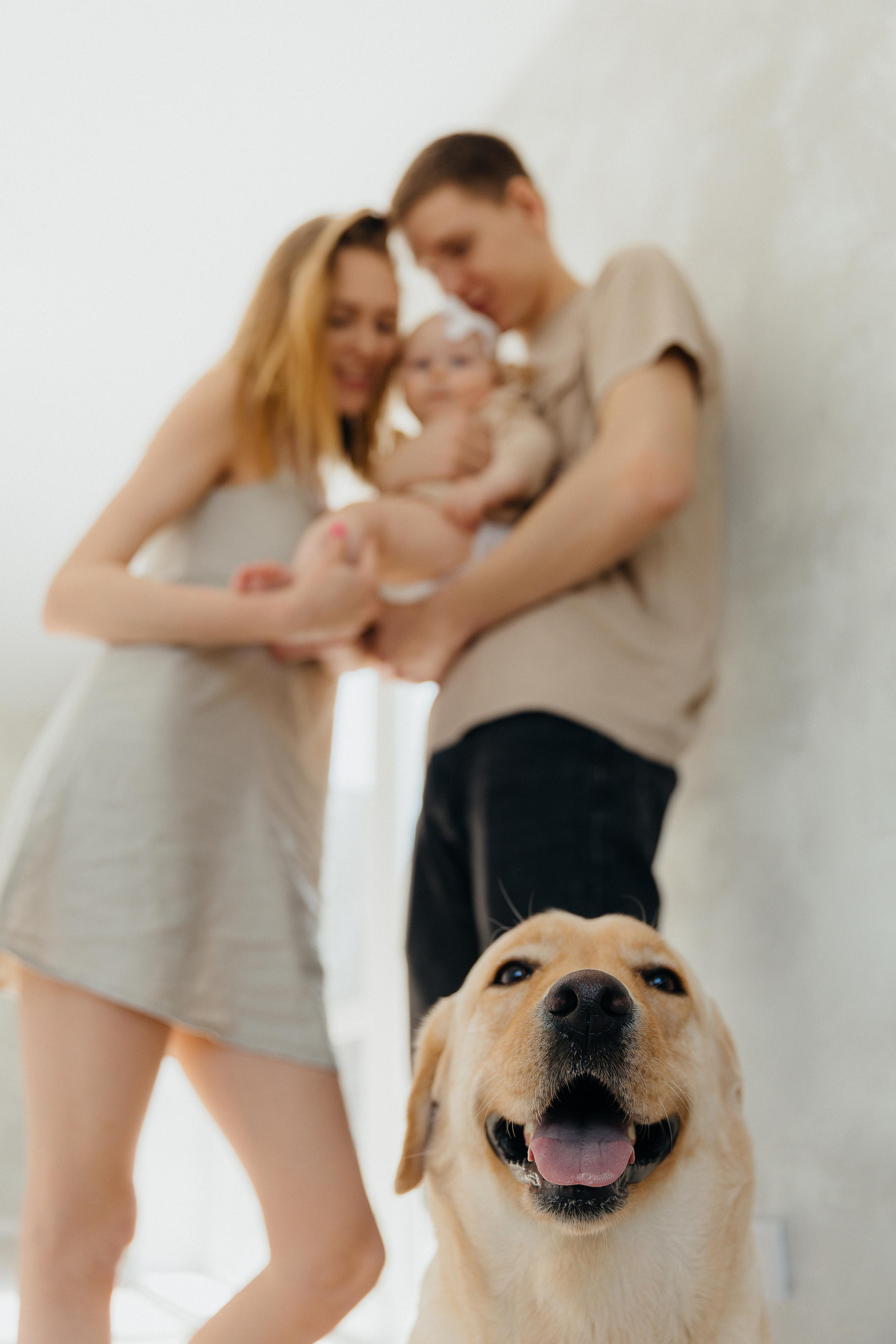 Сладкой булочке полгода. Свадебный и семейный фотограф Ворожейкин Олег. Фотографирую во Владиво