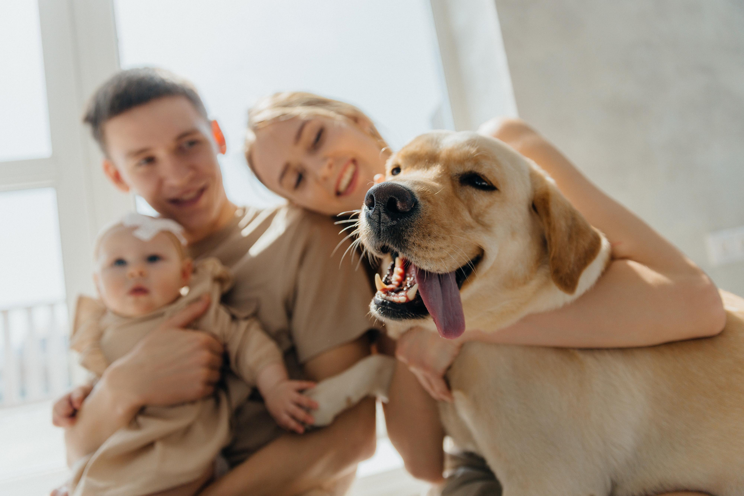Сладкой булочке полгода. Свадебный и семейный фотограф Ворожейкин Олег. Фотографирую во Владиво