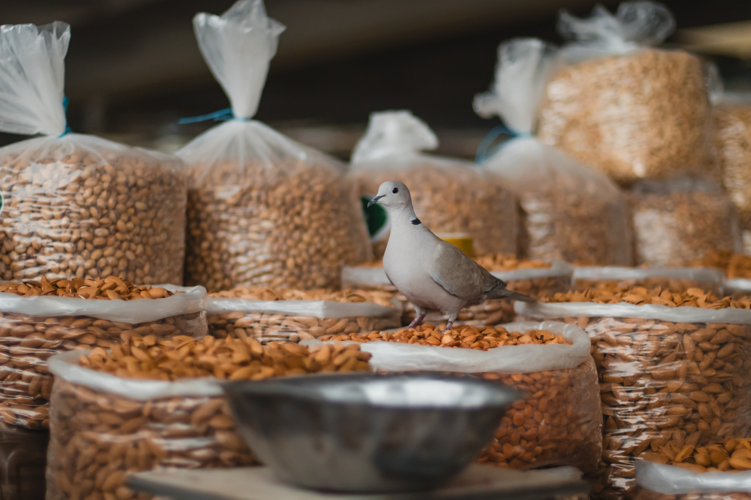 Uzbekistan, Samarkand. Репортажный фотограф Андрей Герасимов