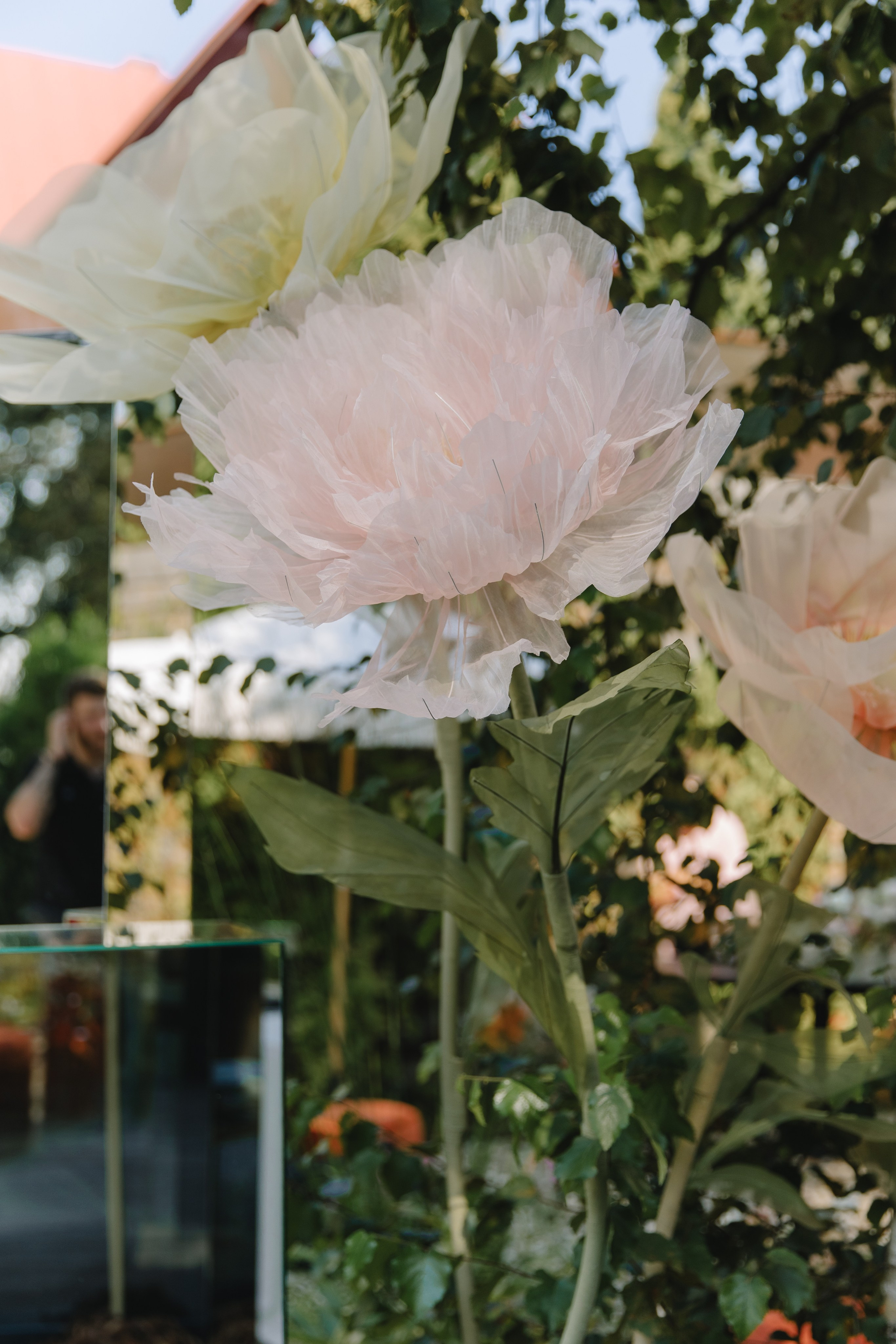 VSummer | 31.08.2024 | МО, ресторан «Рико Дом». МашаШарики | Декоратор | Москва